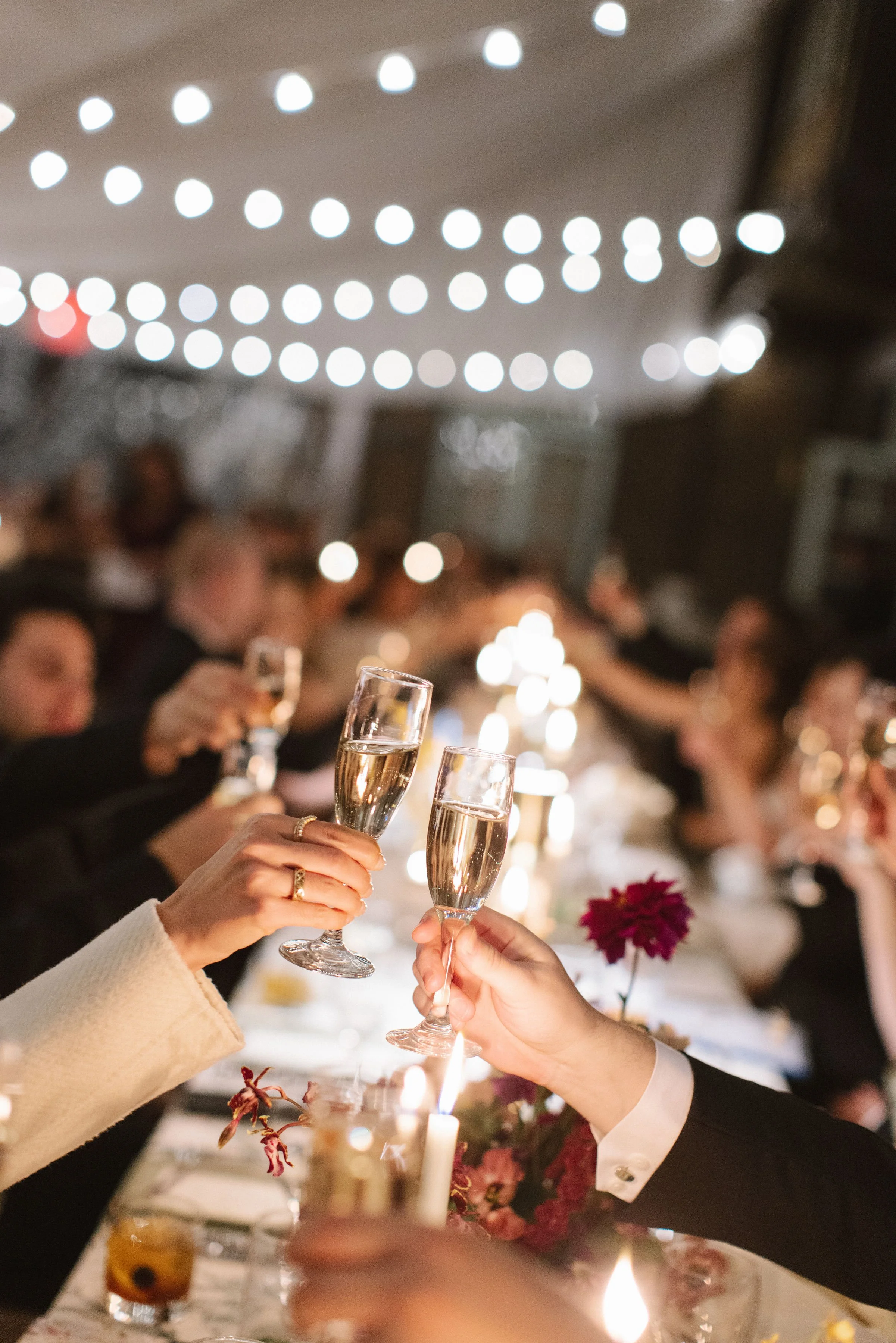 delaware-wedding-reception-party-cheers.jpg
