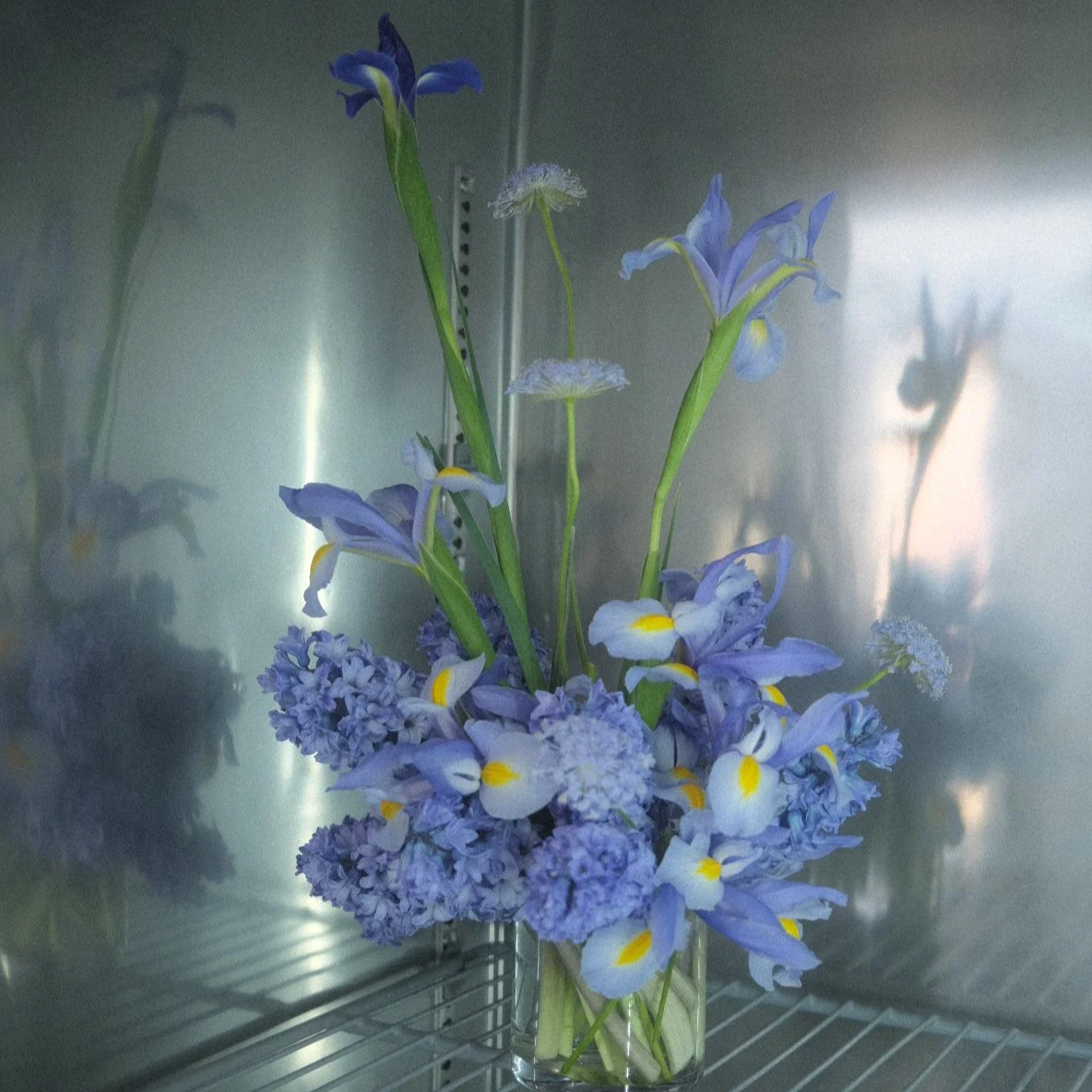 flwr club subscription