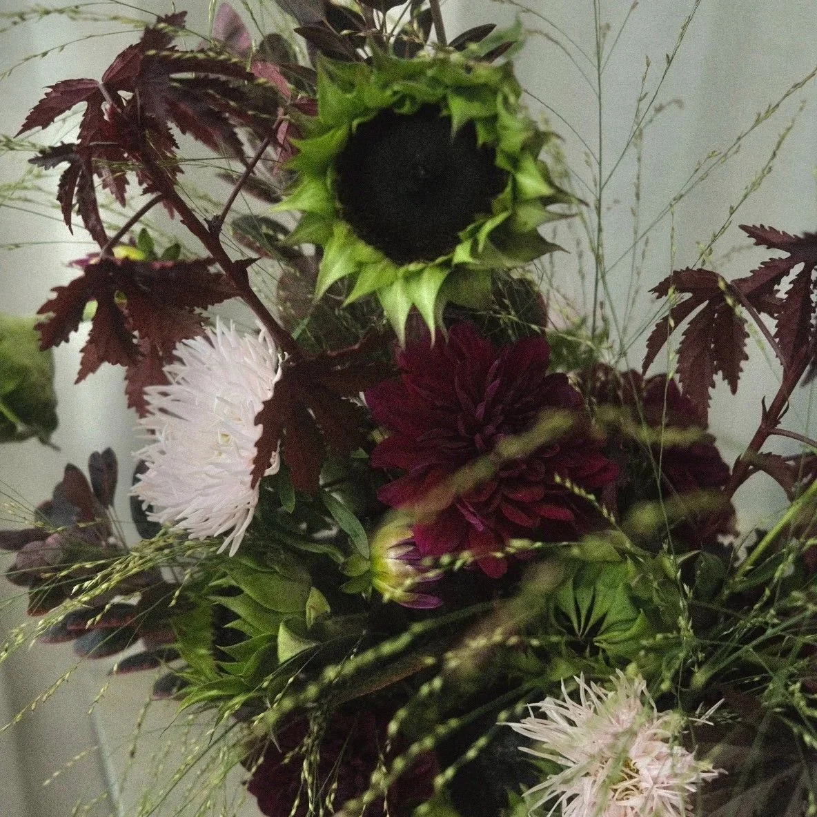 DSCF9513.jpg