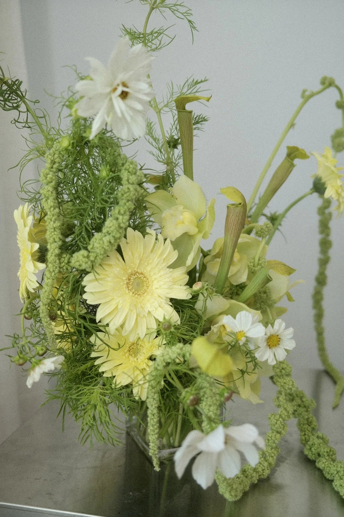 DSCF9483.jpg