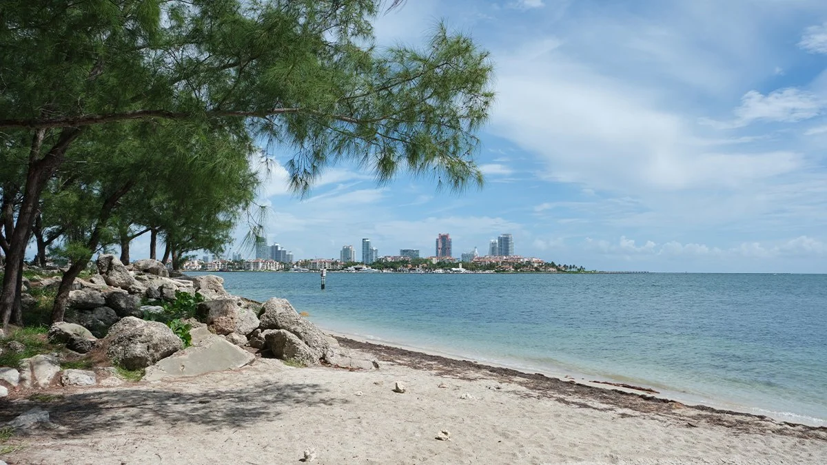 Virginia Key Beach Park Trust: Governance Transition and Path Forward