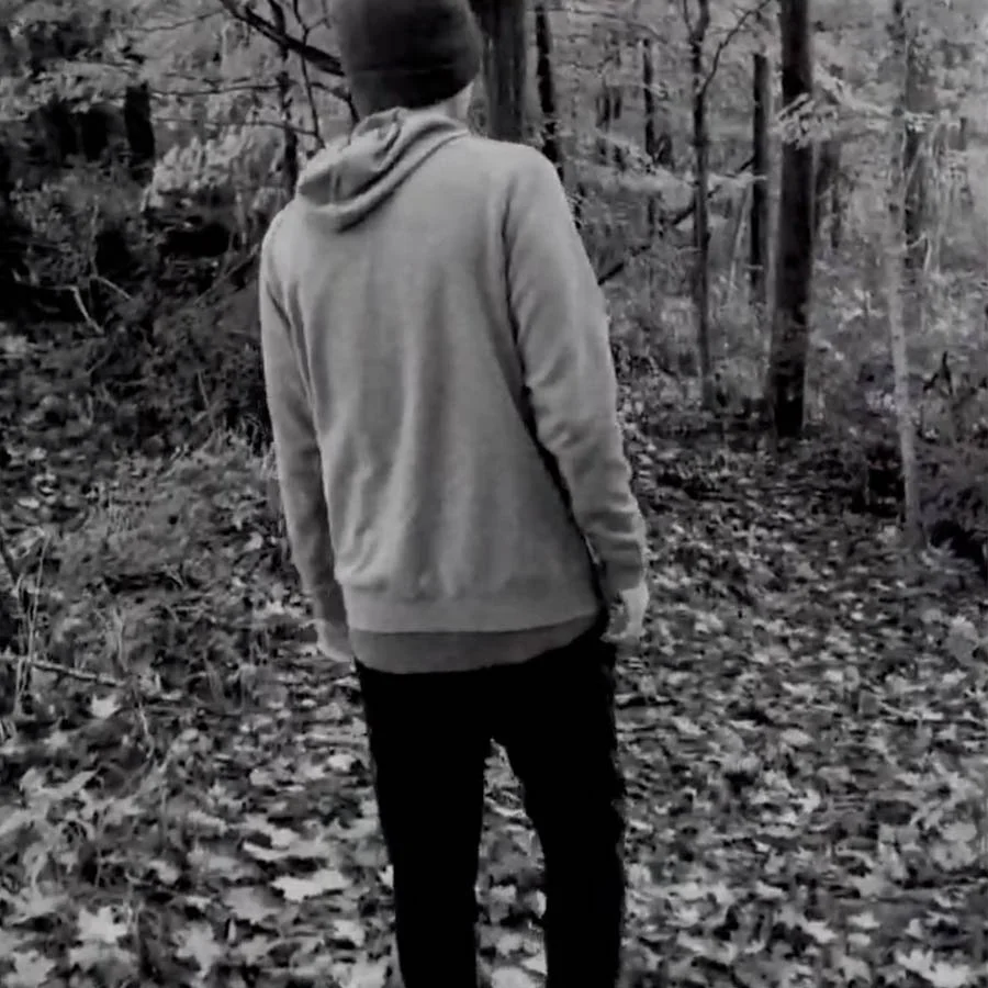 AVRY - Lost in the Shadow Digital Single