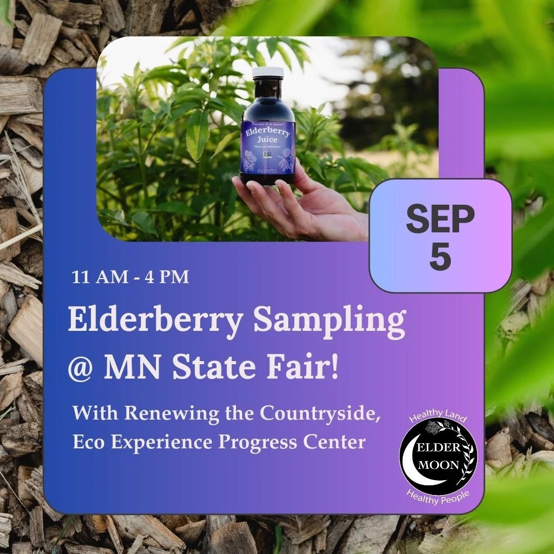 If you&rsquo;re going to the fair this weekend, come check us out and sample some elderberry juice! We&rsquo;ll be at the Eco Experience Progress Center from 11 to 4 pm this Saturday 💜 happy fair-going! 🪄