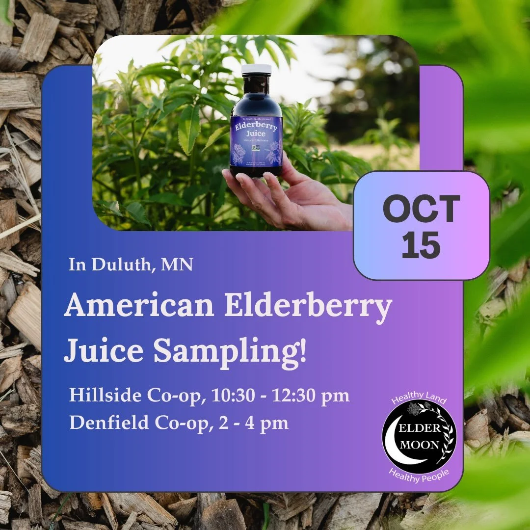 Duluth friends! We&rsquo;ll be at your local co-ops this Thursday sampling our elderberry juice! Hillside Co-op from 10:30 am to 12:30 pm and Denfield Co-op from 2 pm to 4 pm. We are so excited to spend some time in Duluth and talk elderberry with yo