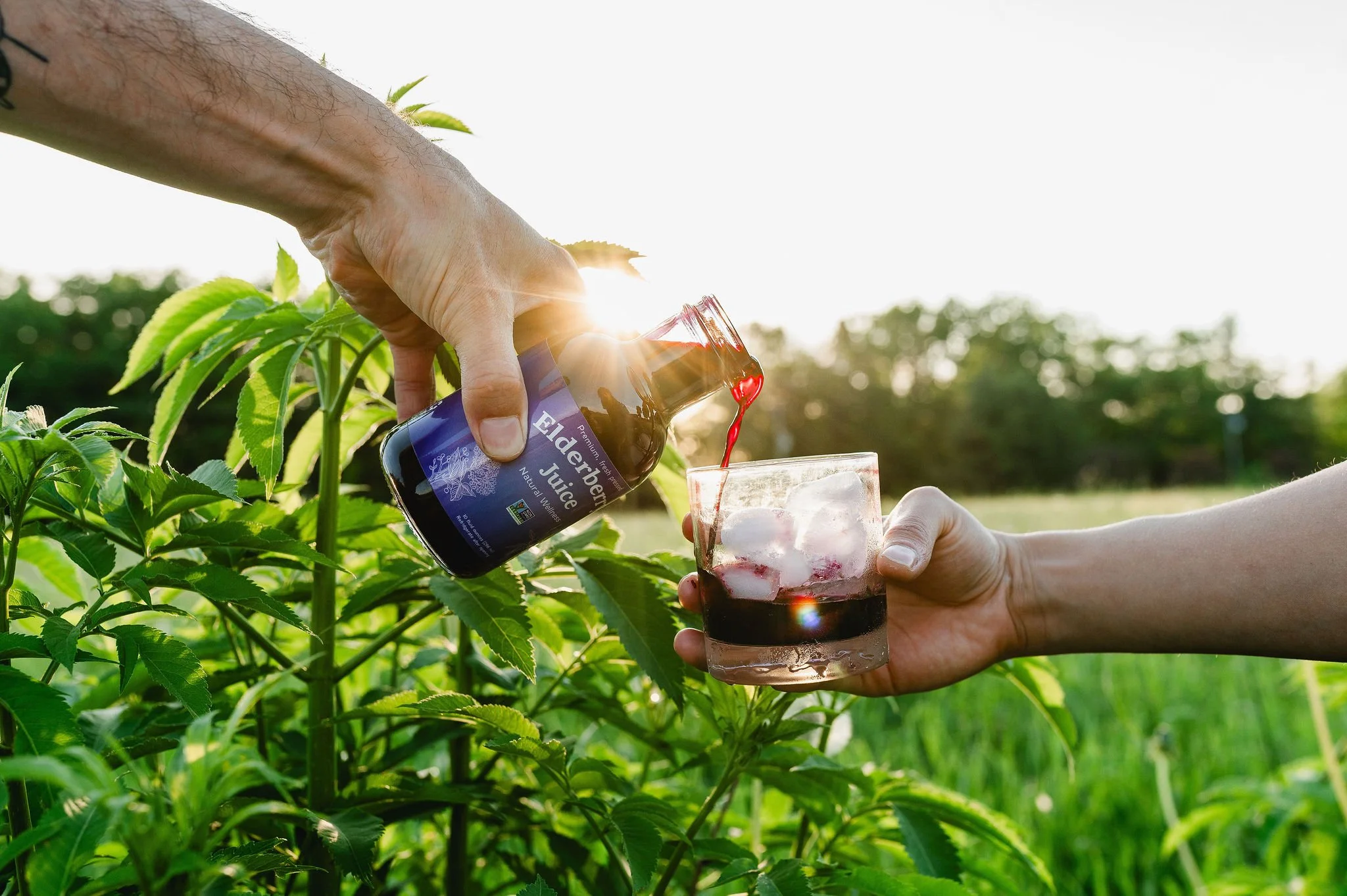 Elderberry Juice
