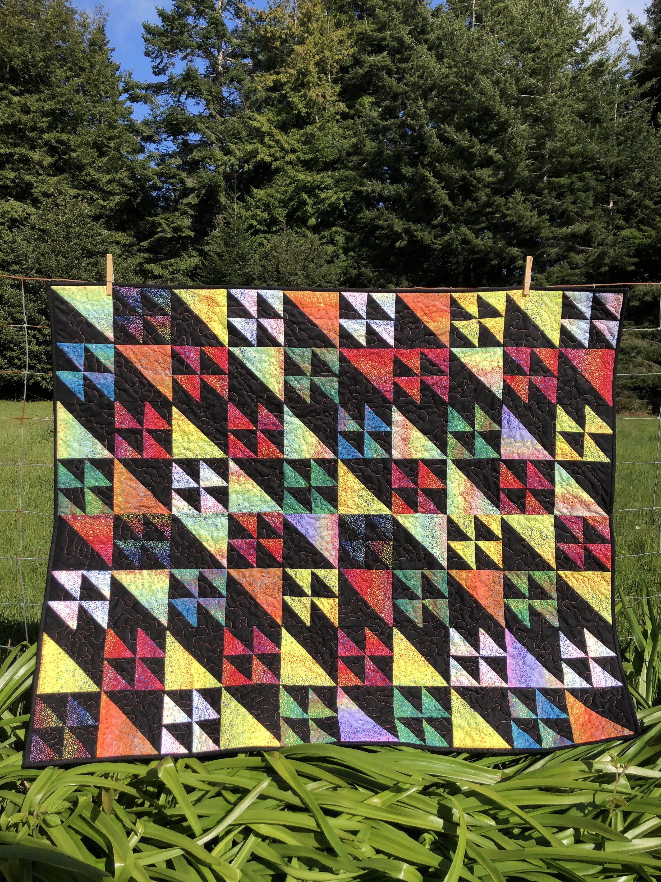Dark Geese Quilt.jpg