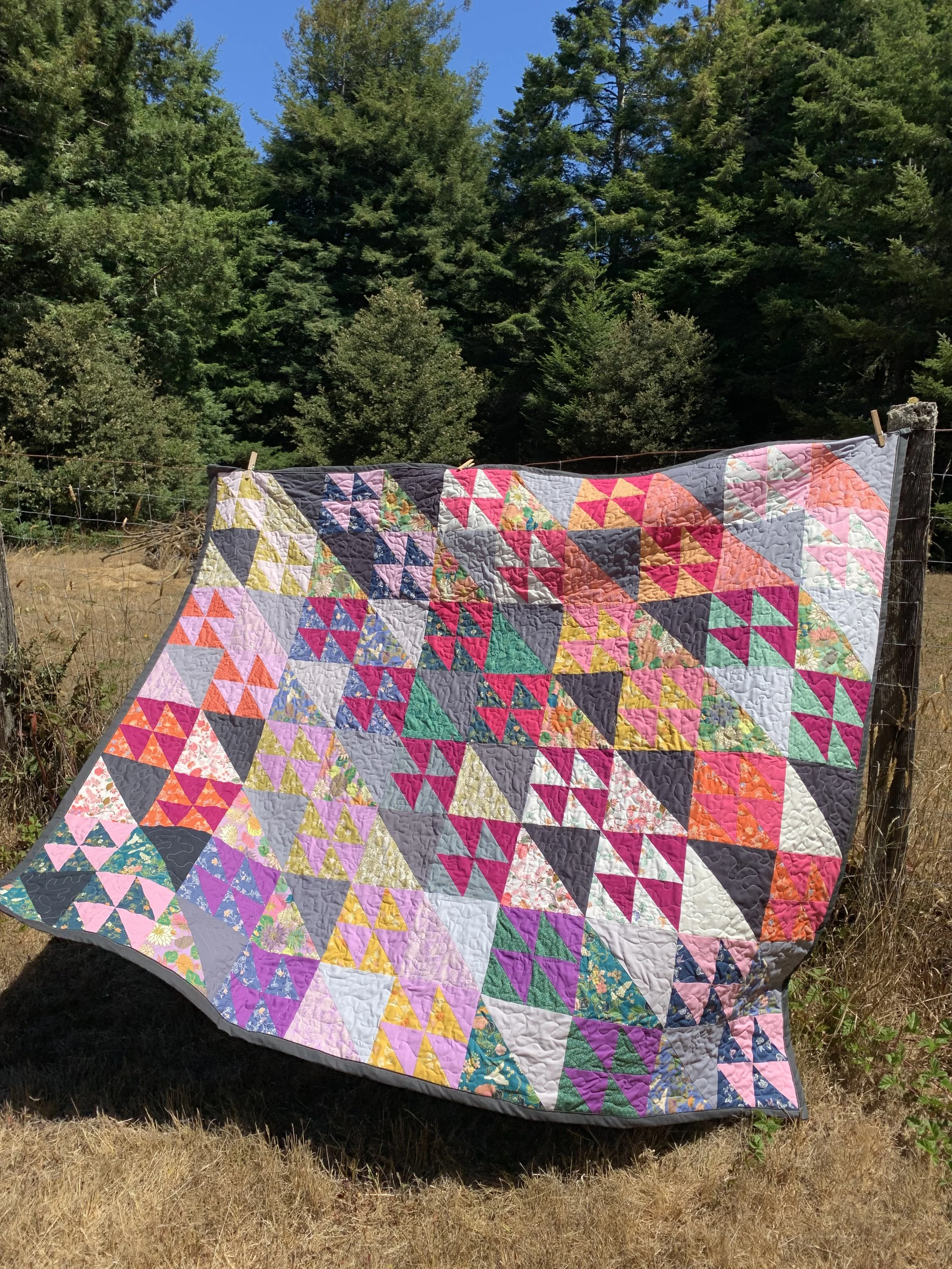 Geese for A Quilt.jpg