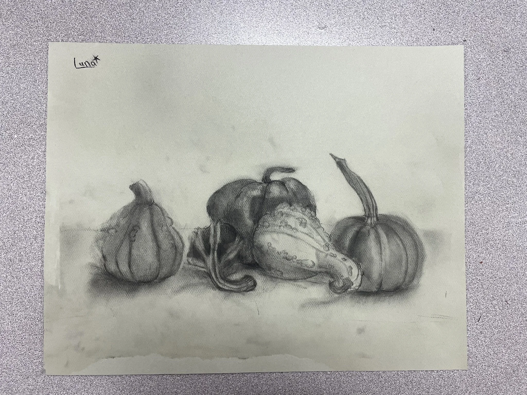 A pencil sketch of three pumpkins, with one in the middle featuring a cauliflower-shaped top, on a flat surface. The word 'Luna' is written in the top left corner.