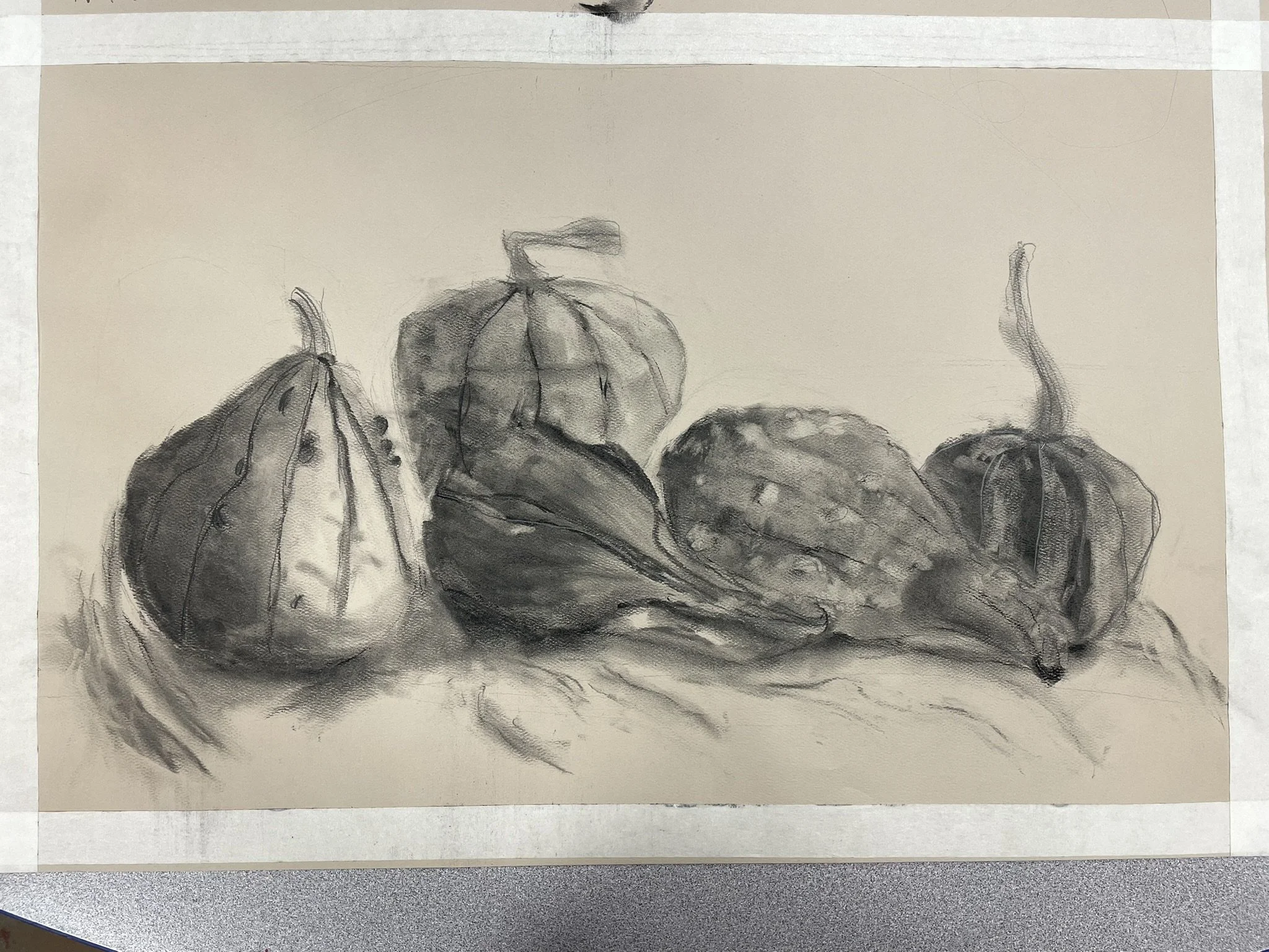 A pencil sketch of various gourds and pumpkins on a flat surface.