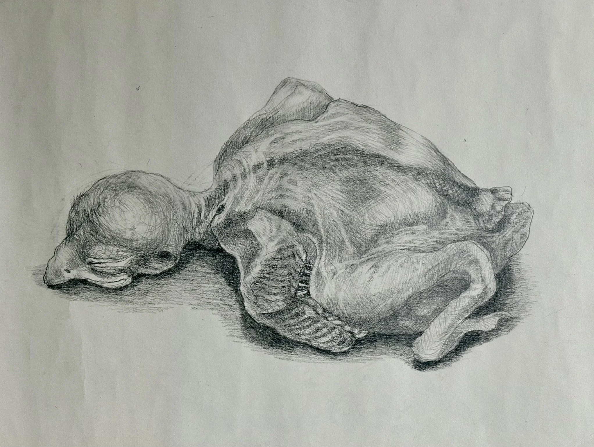 Sins Of The Parents, pencil on paper 2025