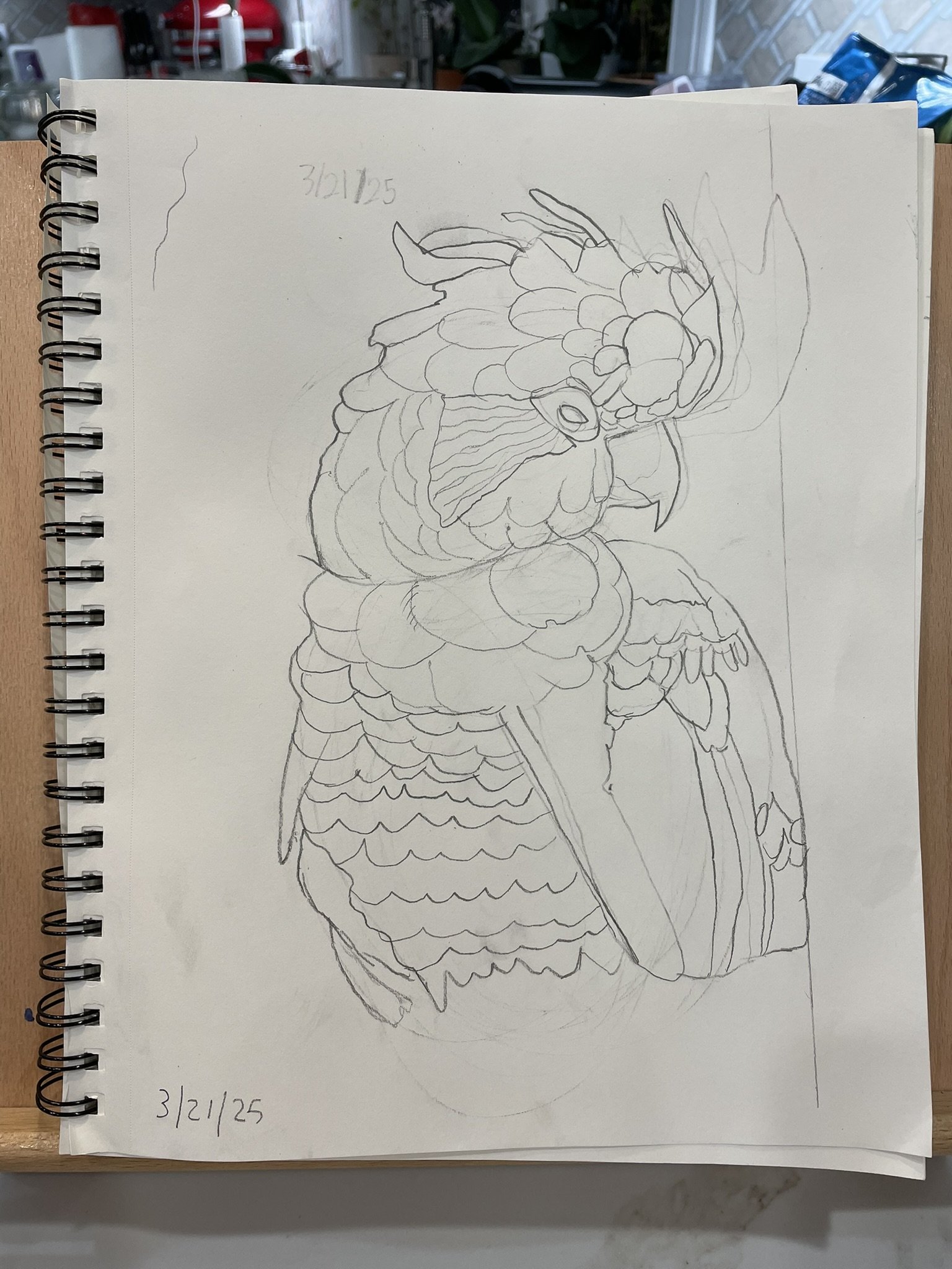 Sketch of a bird with prominent feathers and detailed head, drawn on a spiral notebook page, with date and numbering notes.