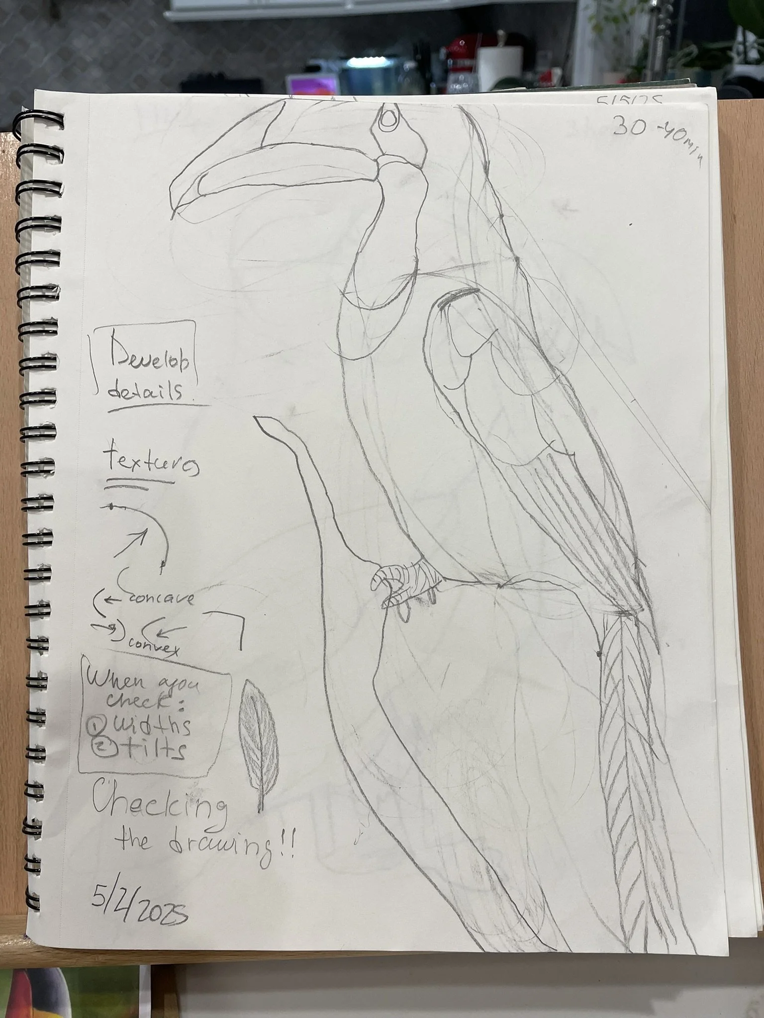 Sketch of a bird, with notes about developing details, textures, and checking drawing proportions, date 5/4/205.