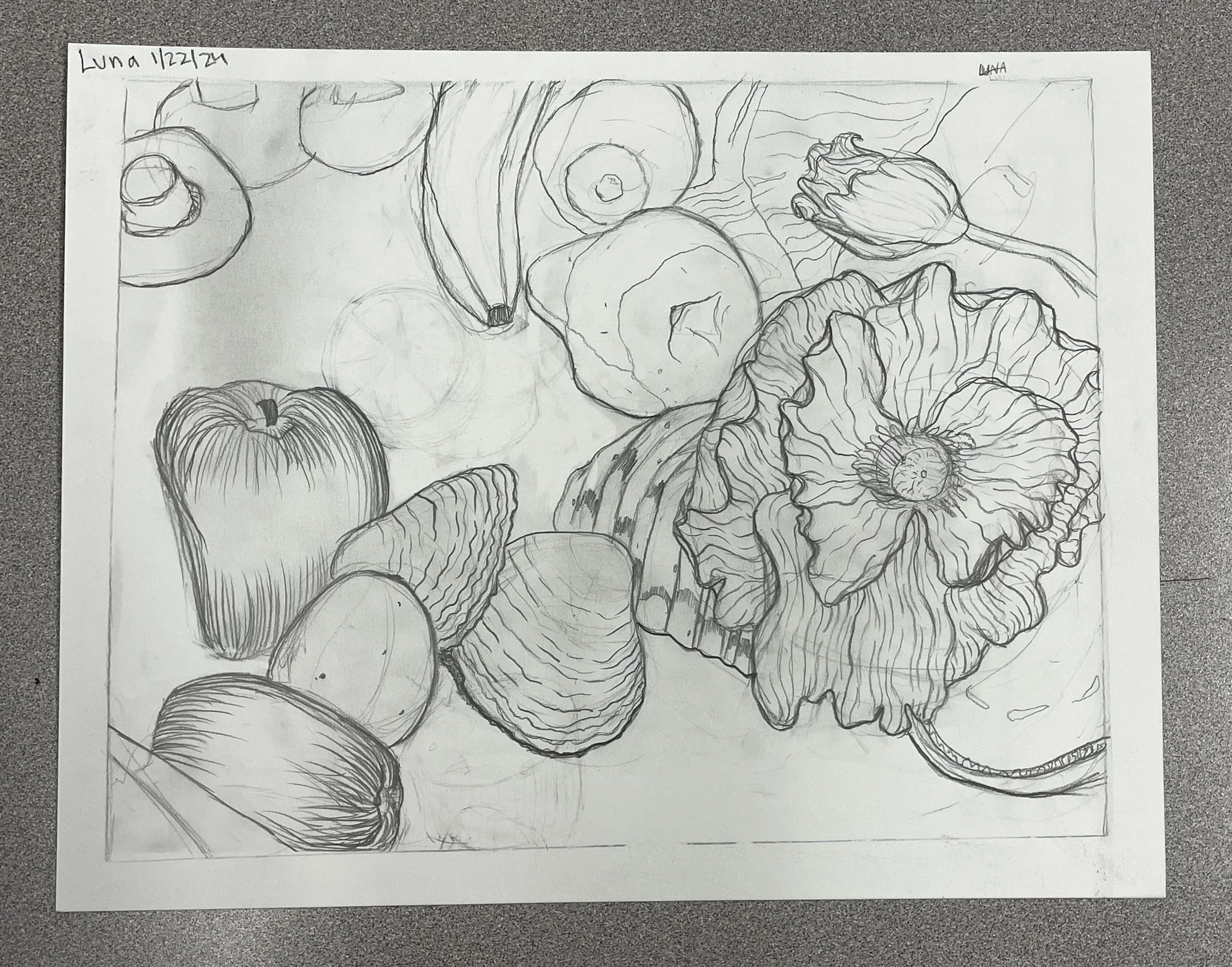 Sketch of various fruits and vegetables, including apples, strawberries, and a large flower, drawn with pencil lines.