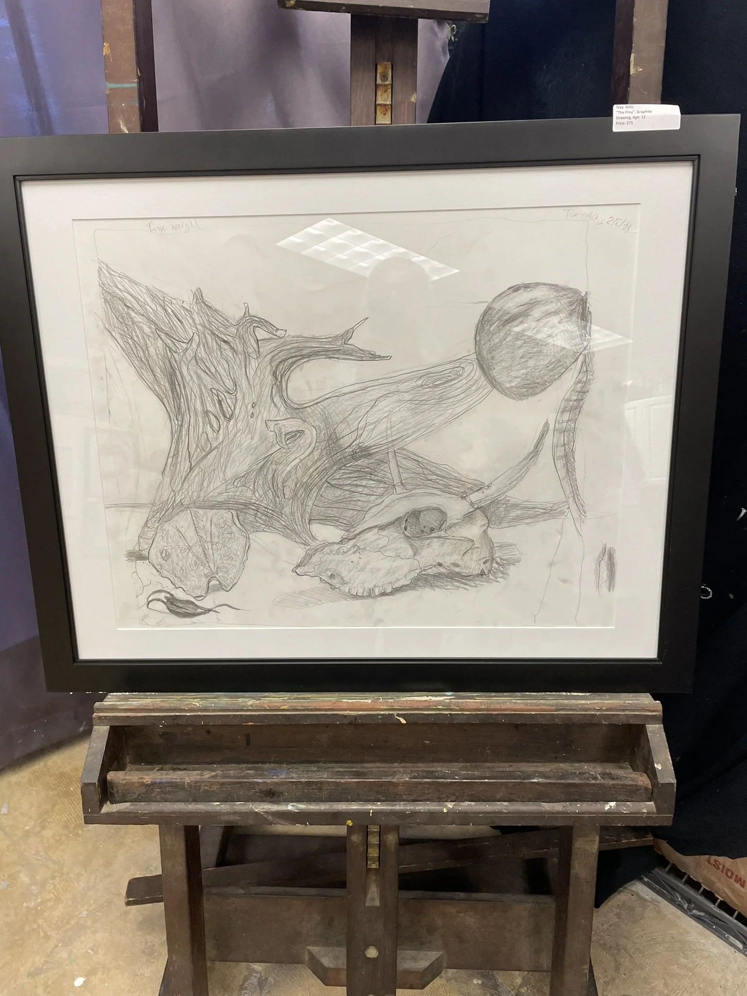 Pencil sketch of a still life scene featuring a large tree trunk, a seashell, a rock, a round object, and a curving branch, displayed in a black frame on an easel.
