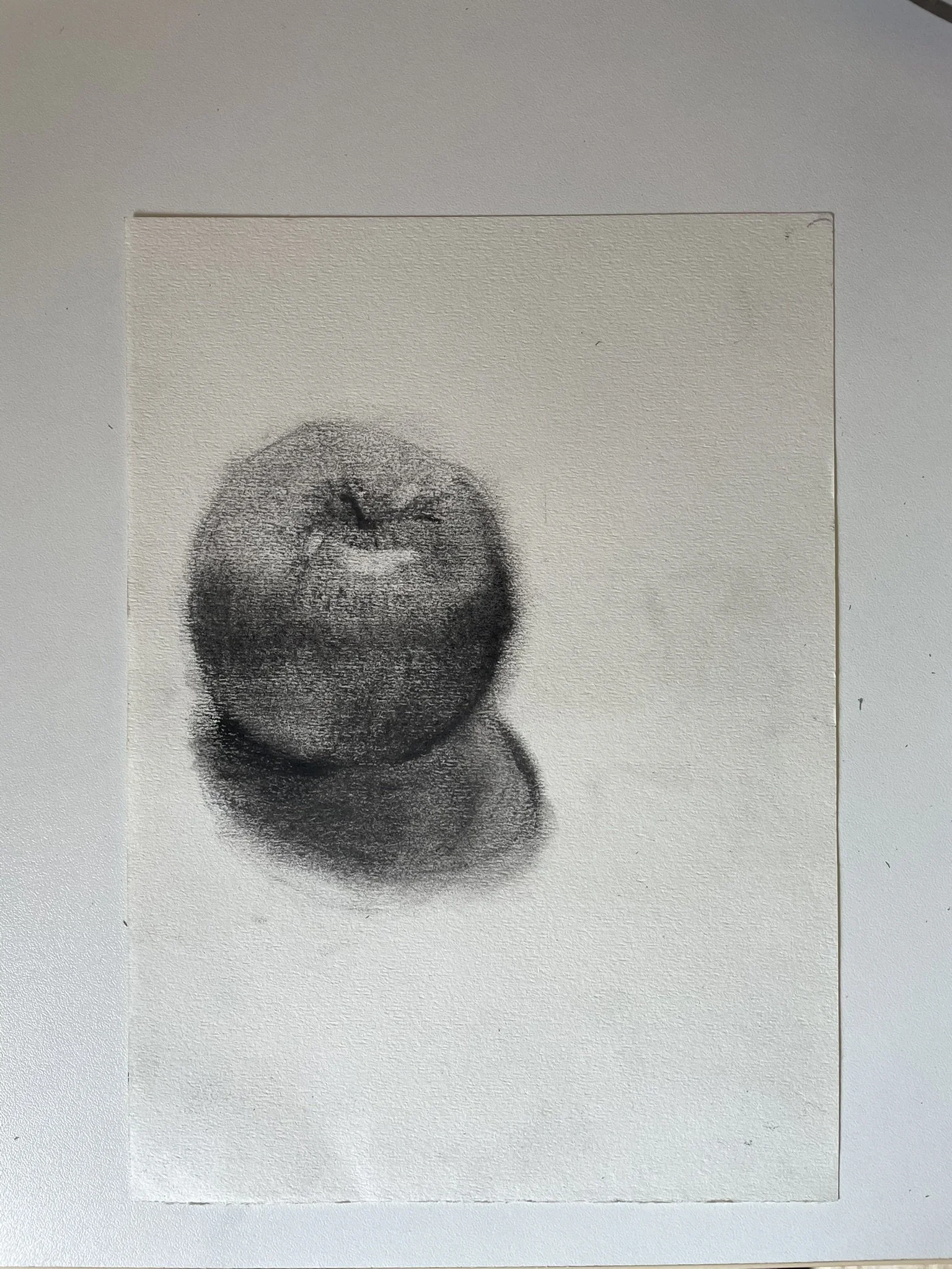 A realistic graphite pencil drawing of an apple with a shadow on a white textured paper.
