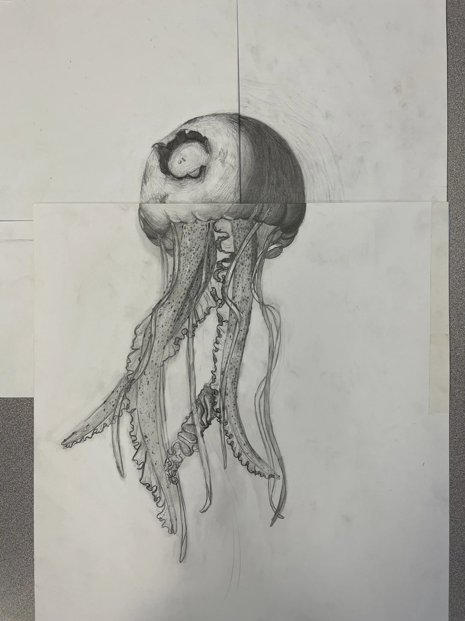 A detailed pencil sketch of a jellyfish with long, flowing tentacles and a rounded bell, drawn on multiple sheets of paper assembled together.