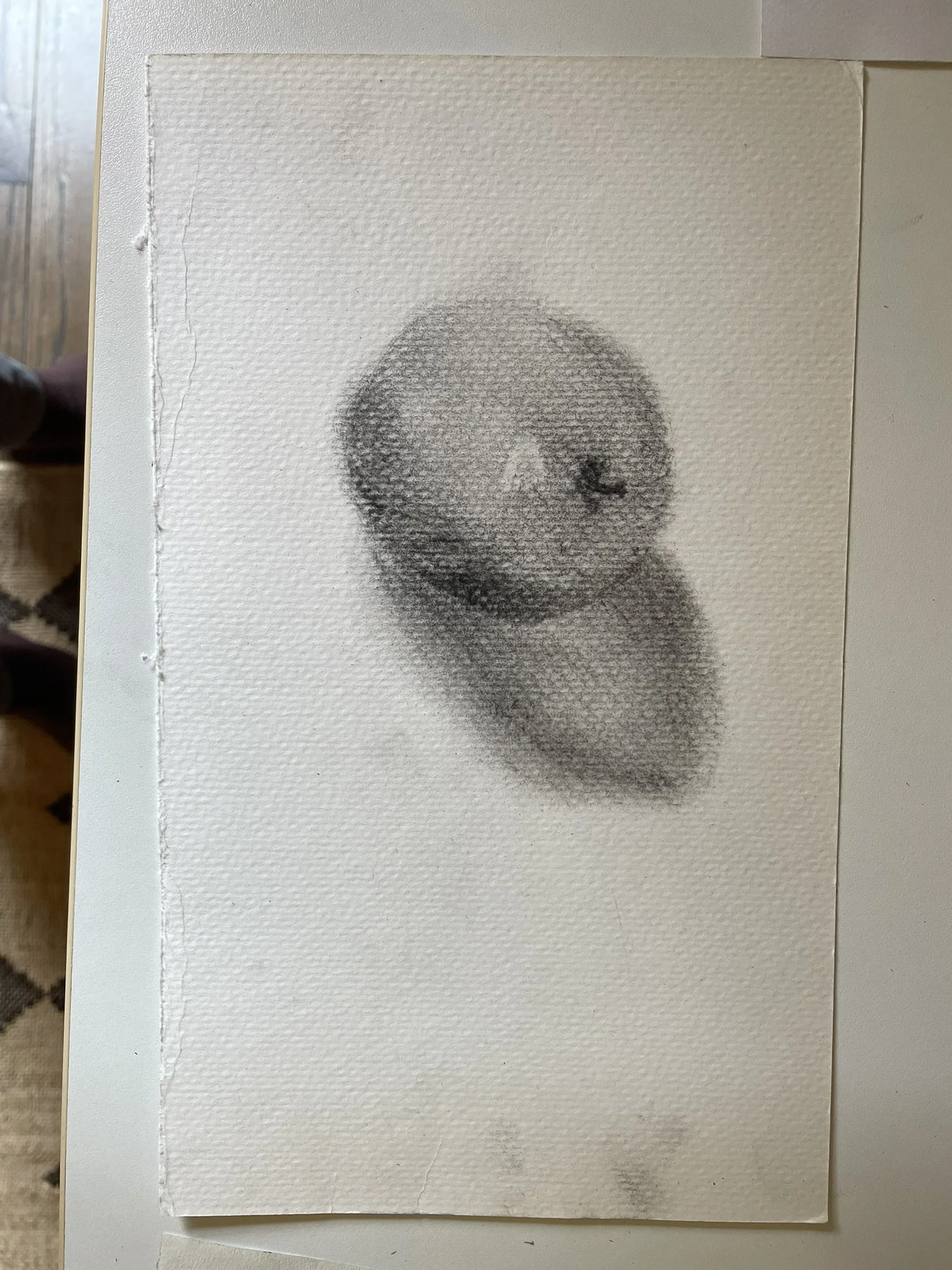 A drawing of two peaches on a textured white paper