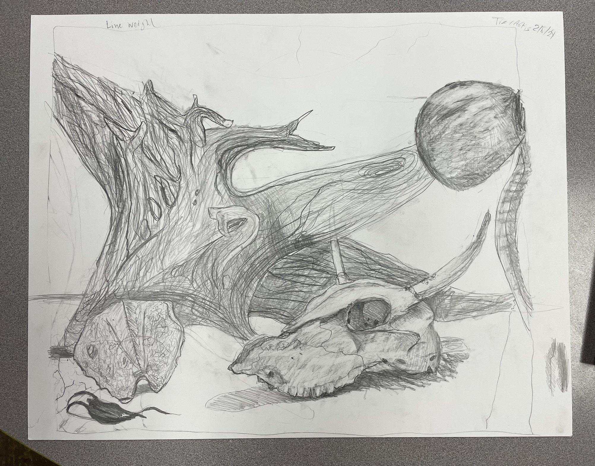 A pencil sketch of a dinosaur skull with large horns and detailed textures, with a round object, a snake, and a small rodent in the background.