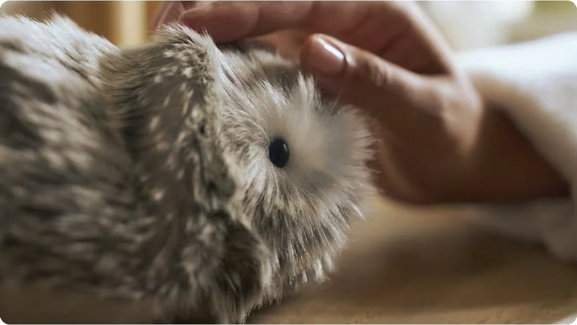 Close-up of a person petting a fluffy gray and white hamster lying on its side.