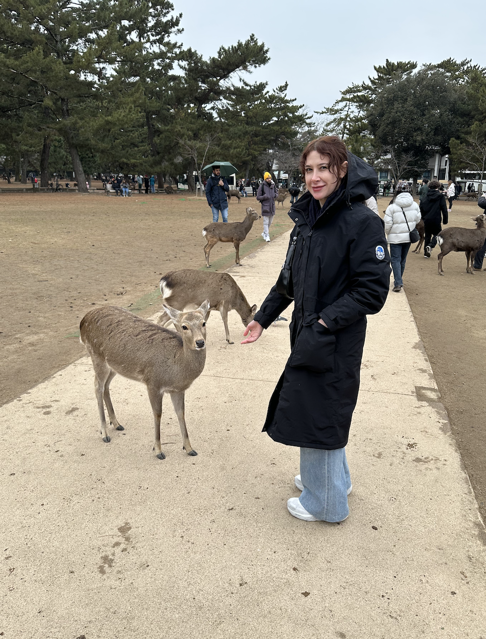 The author with a thoroughly unimpressed deer in Nara, Japan.