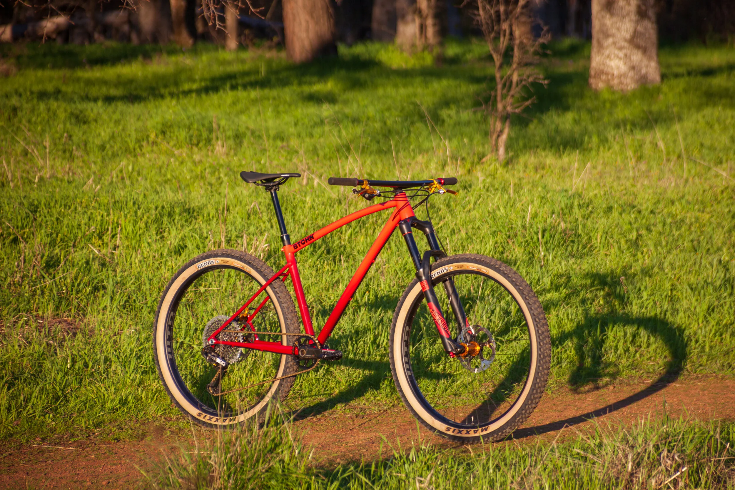 Red Hardtail-3.jpg