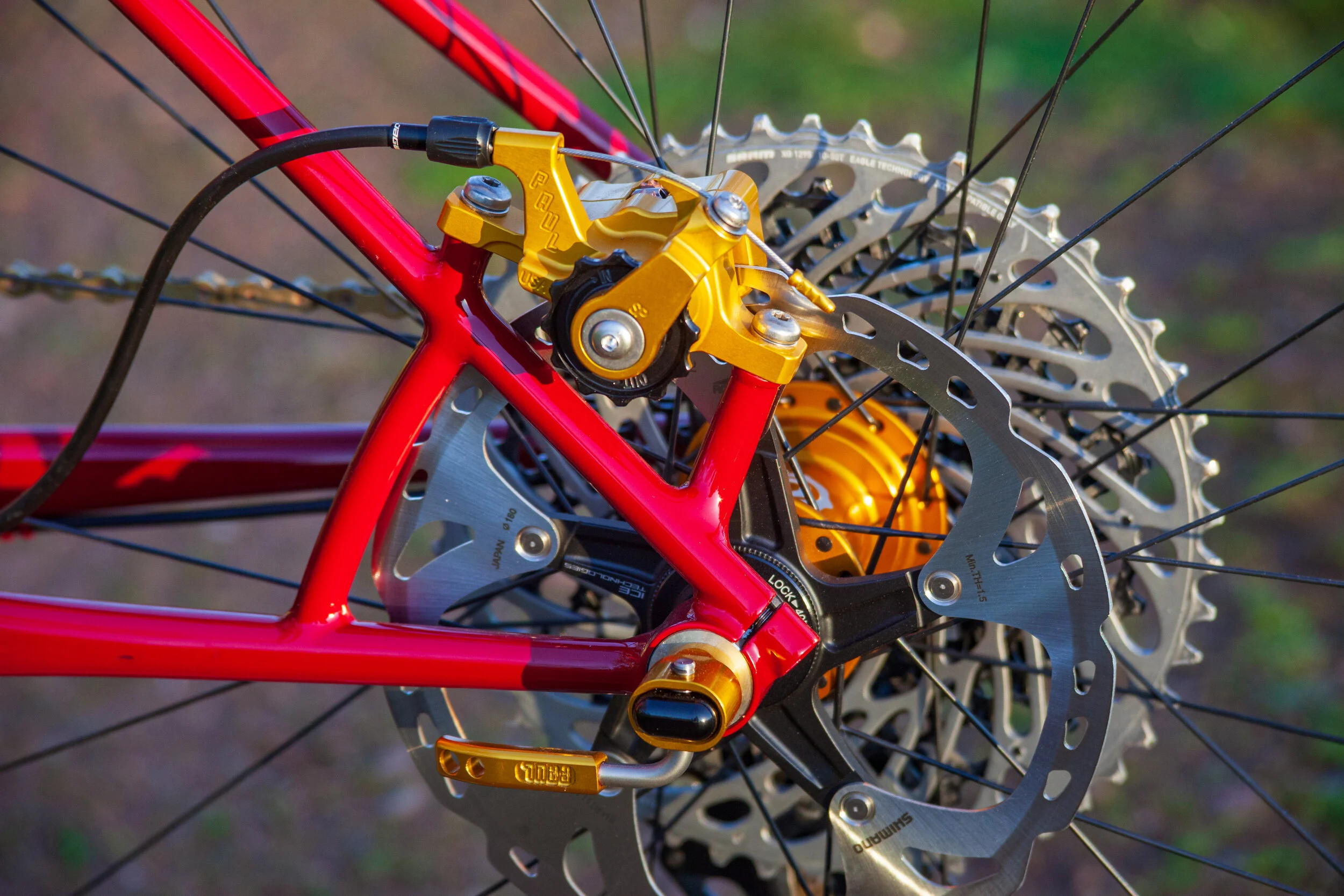 Red Hardtail-6.jpg
