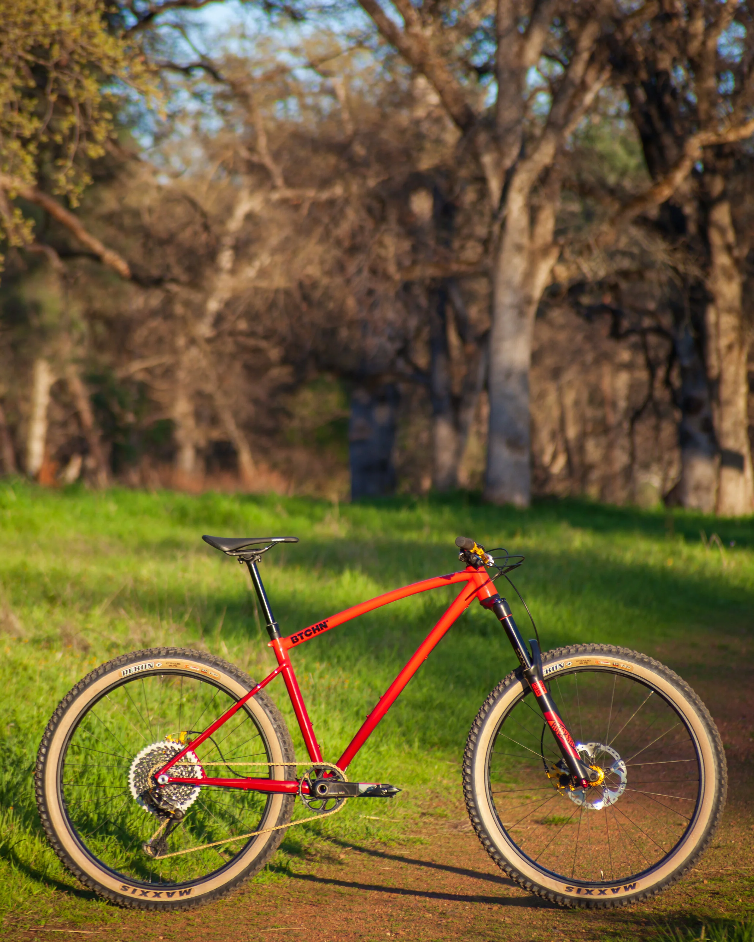 A BTCHN' Hardtail Mountain Bike
