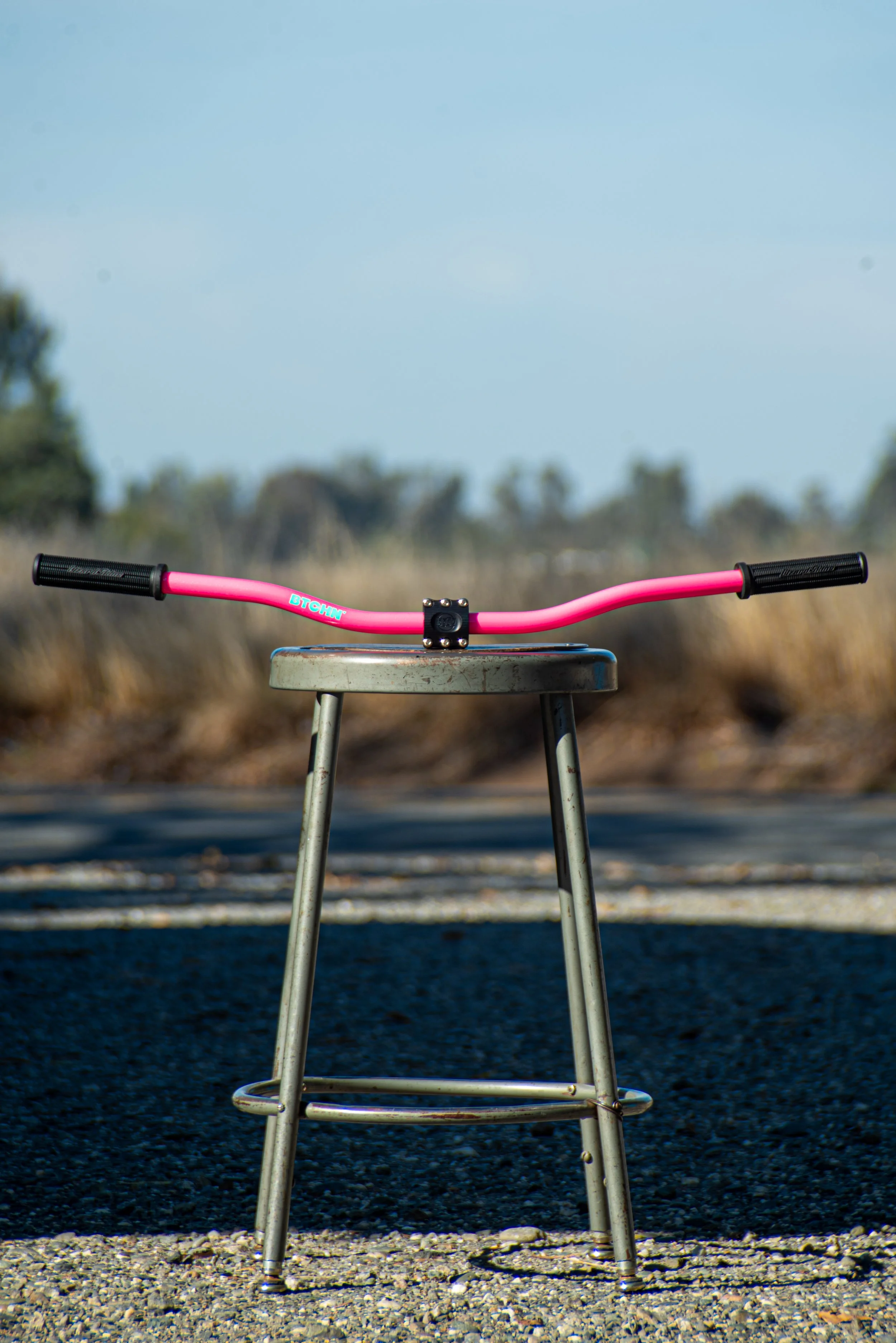 Pink Bars and Stem-3.jpg