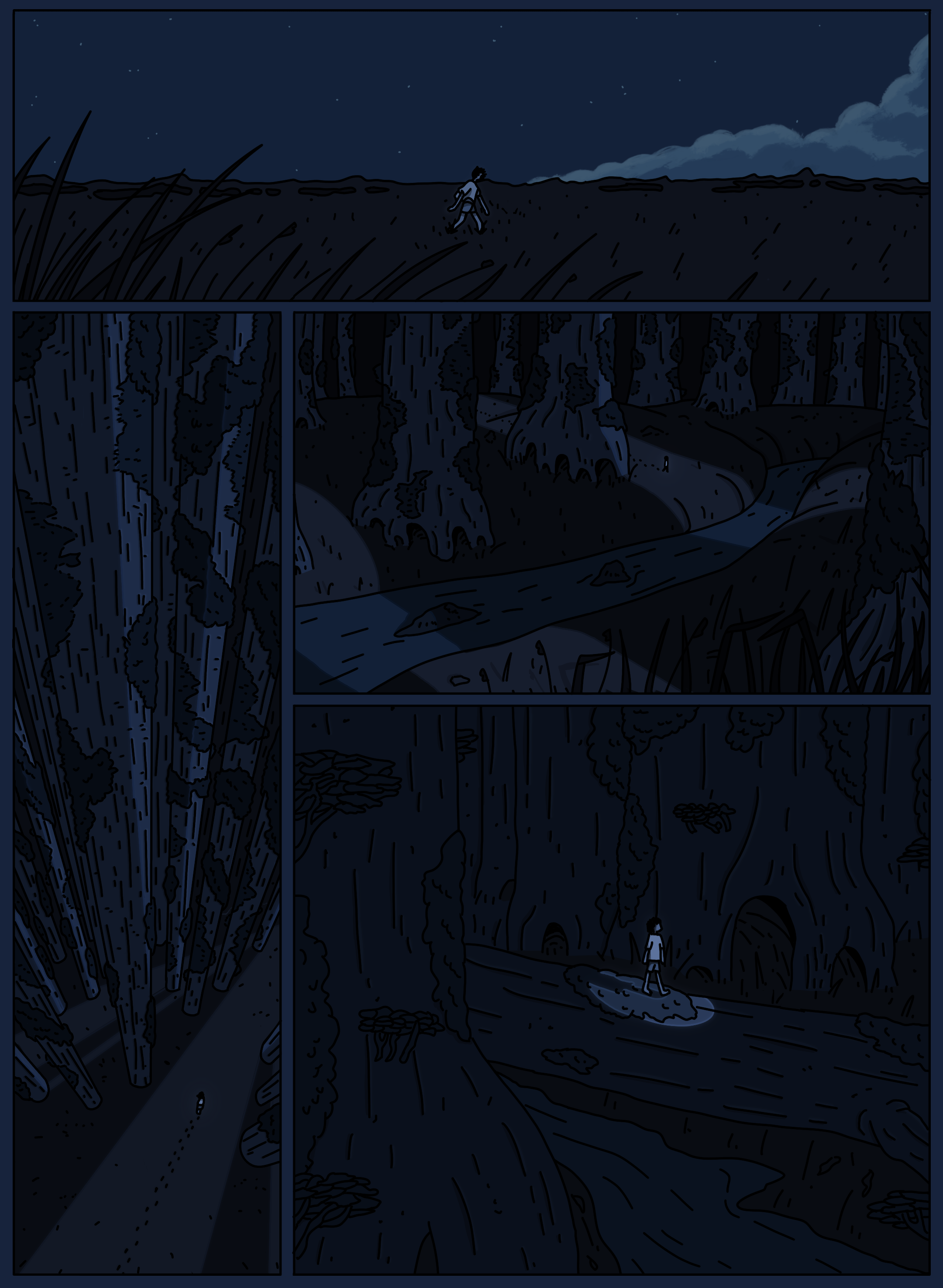 A person walking on a trail with a flashlight in a dark, forested area at night, with tall trees and a meandering river.