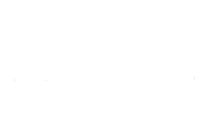 ubs.png