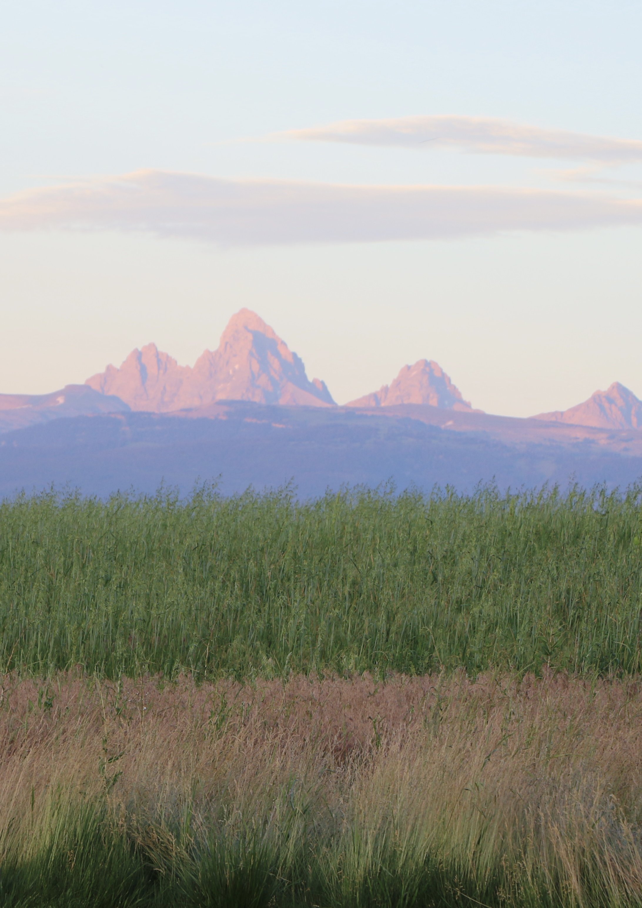 A scenic landscape with a grassy field in the foreground, a mountain range in the background, and a few clouds in the sky.