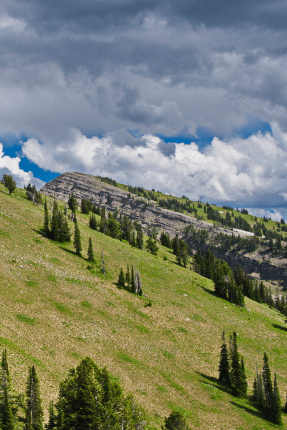 The Best Hikes in Teton Valley