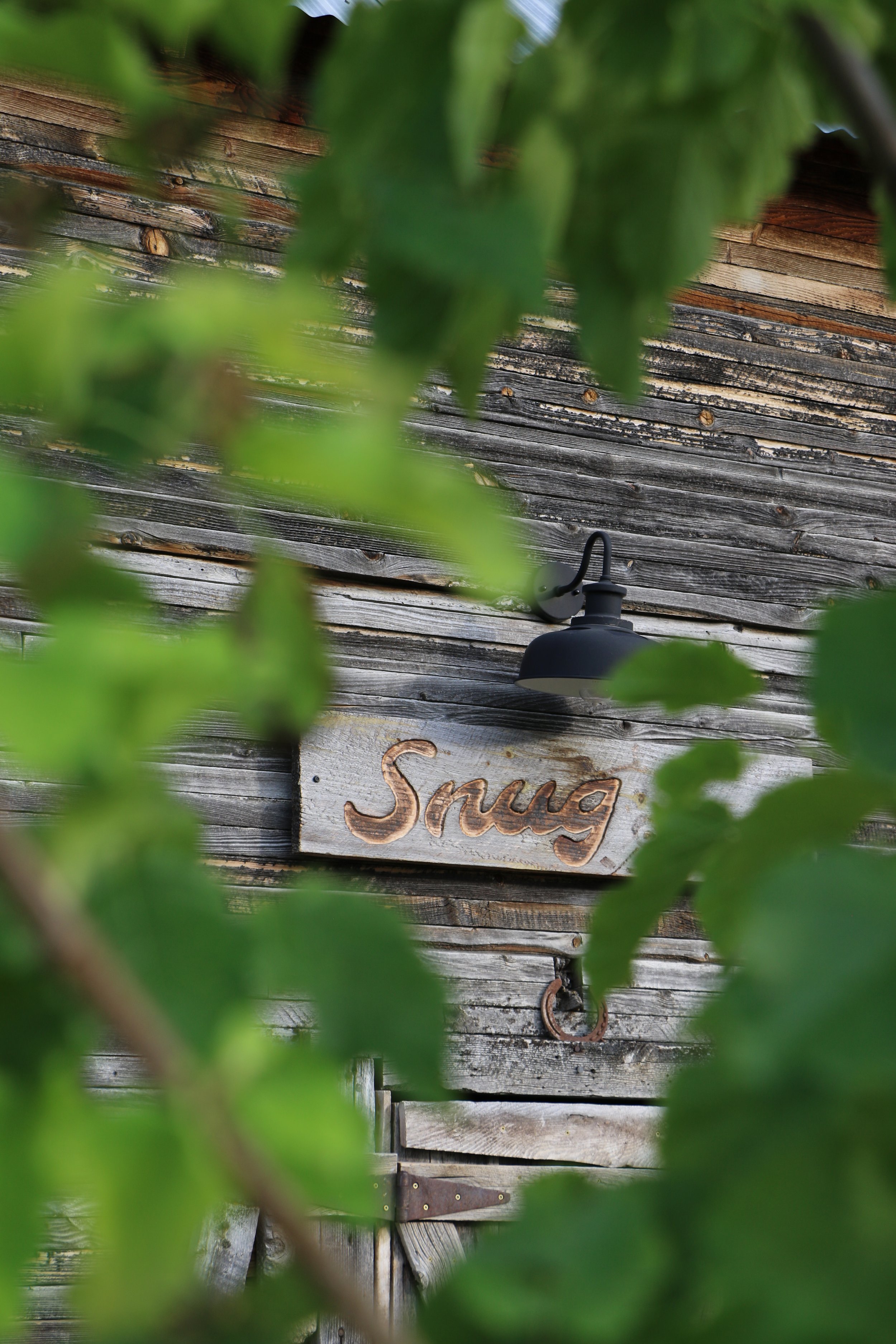 Through the trees The Snug Edelweiss Ranch