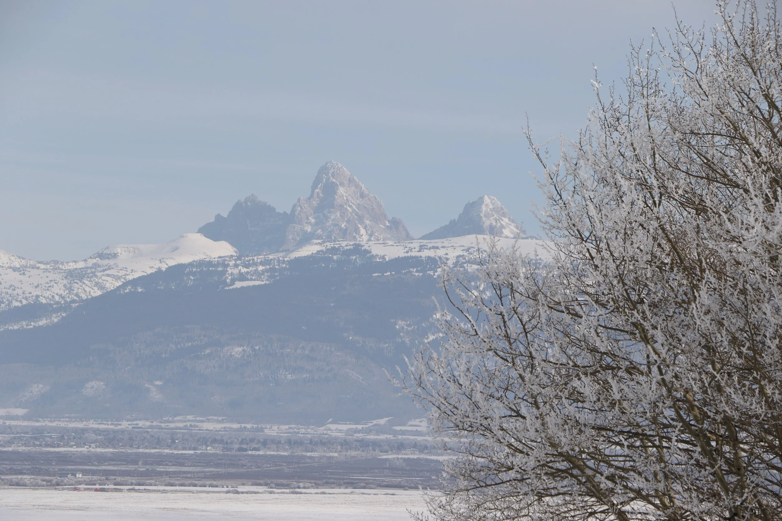 Snow-covered trees with mountains in the background during winter. Edelweiss Ranch Wedding and Event venue, Teton Valley, Idaho. 