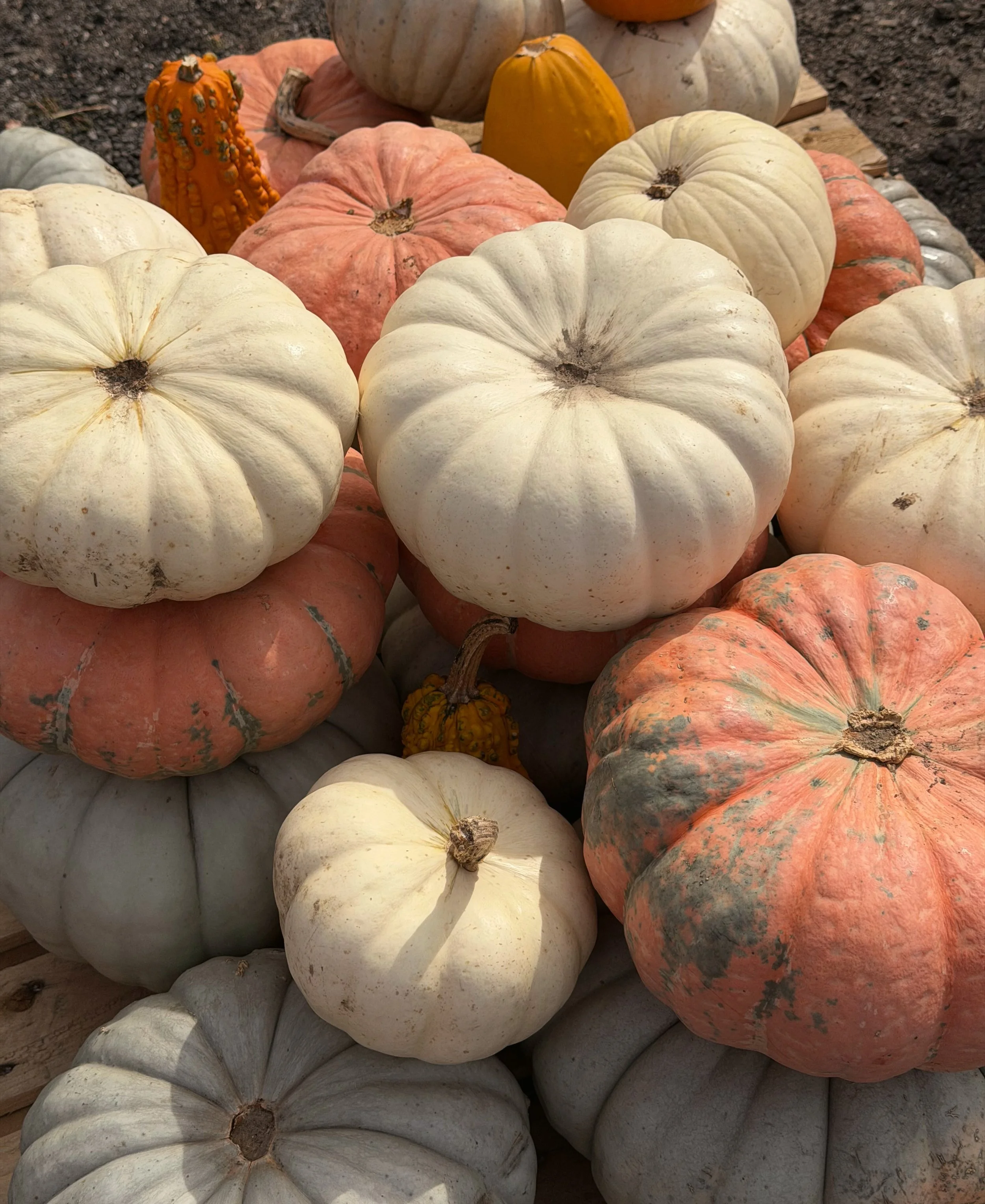 October 🧡