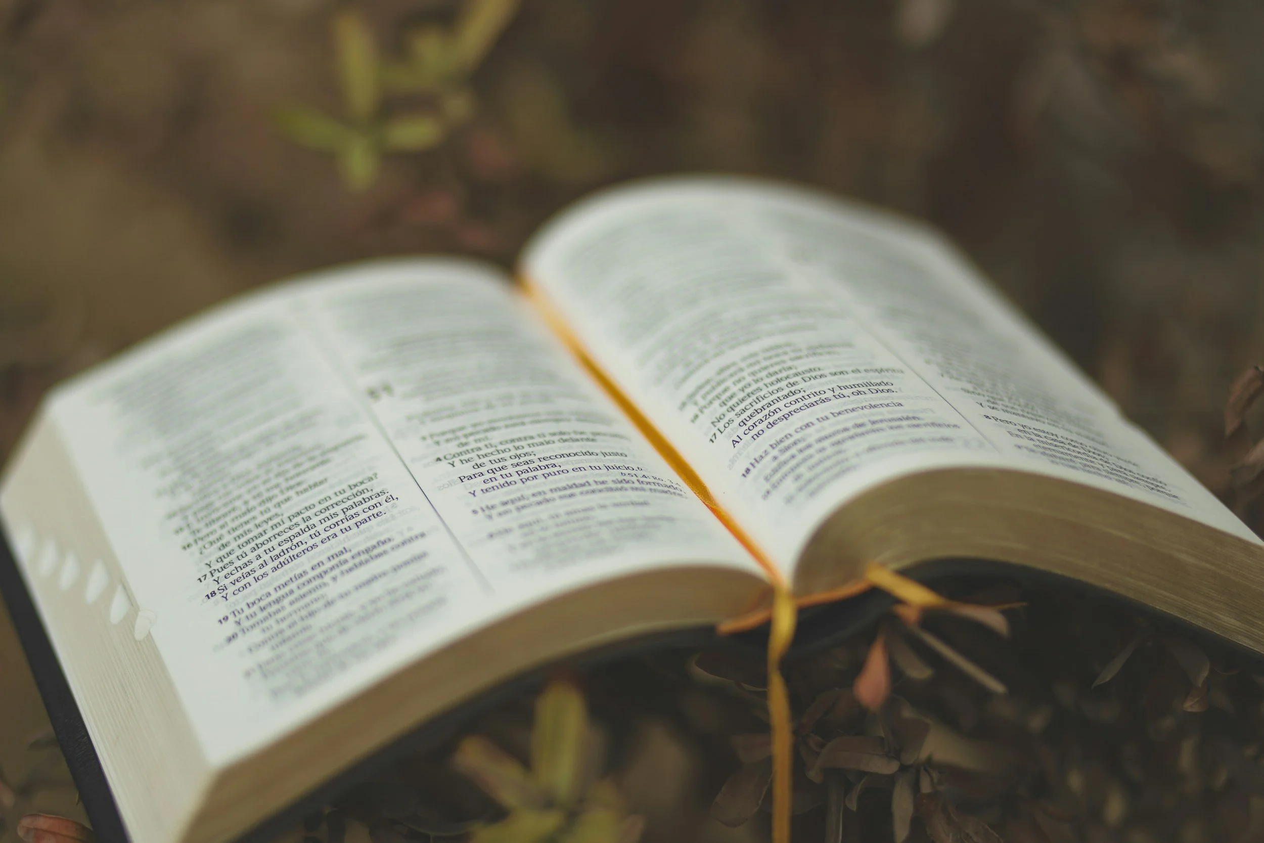 Open Bible with Spanish text resting outdoors amidst foliage.