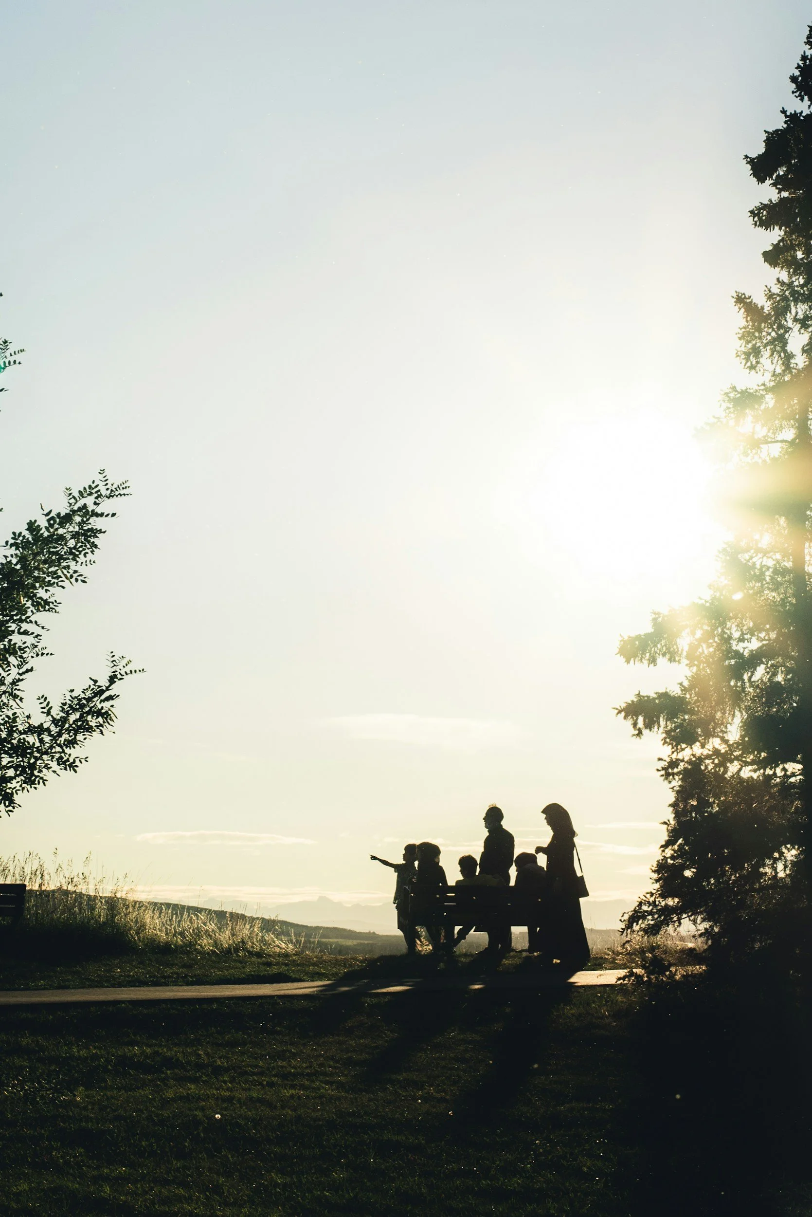 Silhouette of people sitting and standing on a park bench at sunset, surrounded by trees and open landscape.