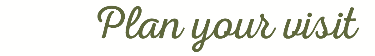 Text that says "Plan your visit" in cursive font