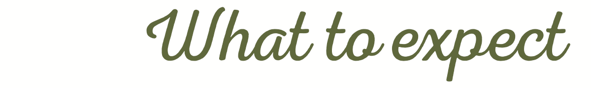 Text saying 'What to expect' in cursive font.