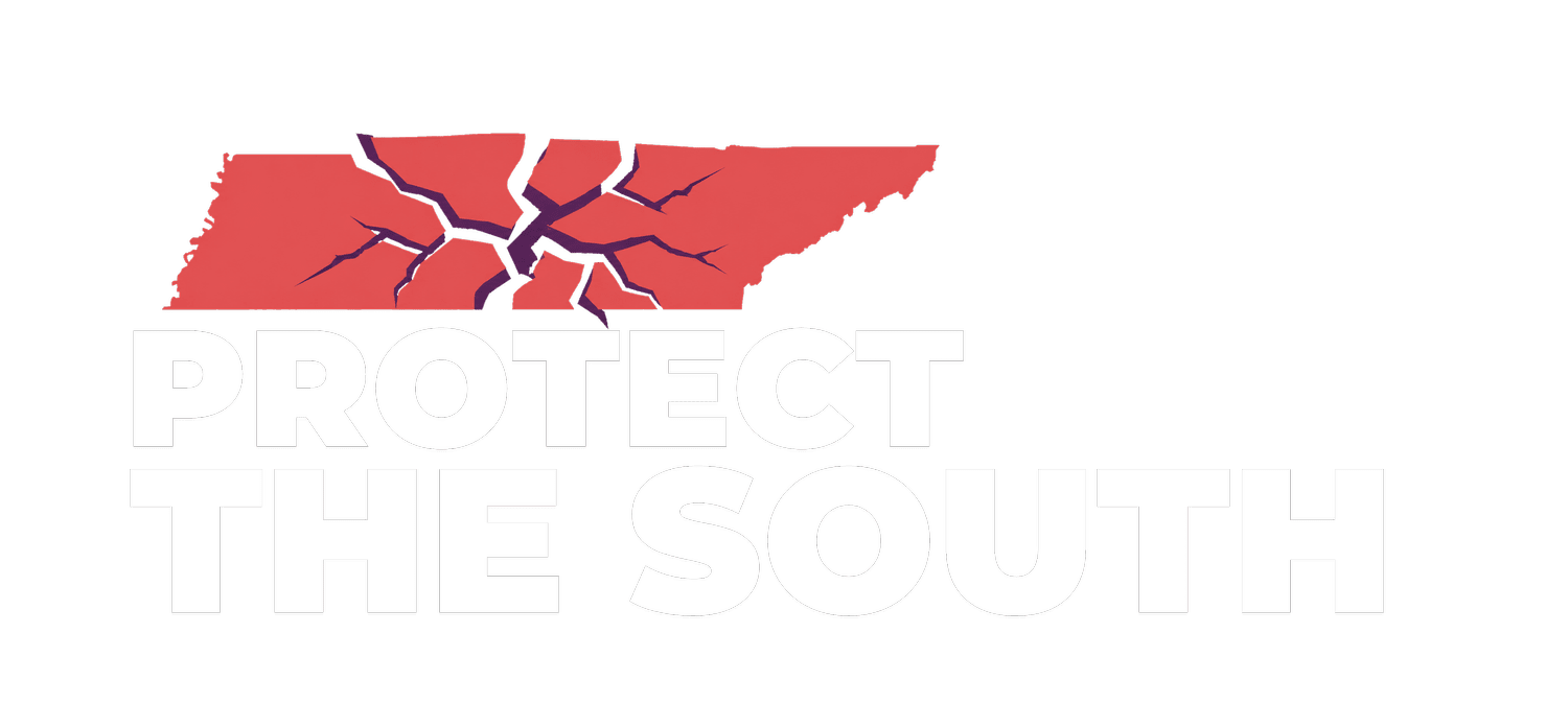 Protect The South