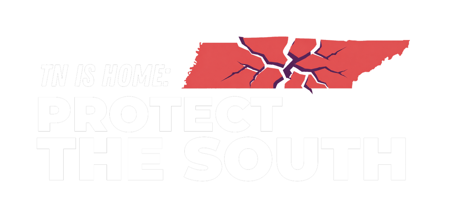 Protect The South