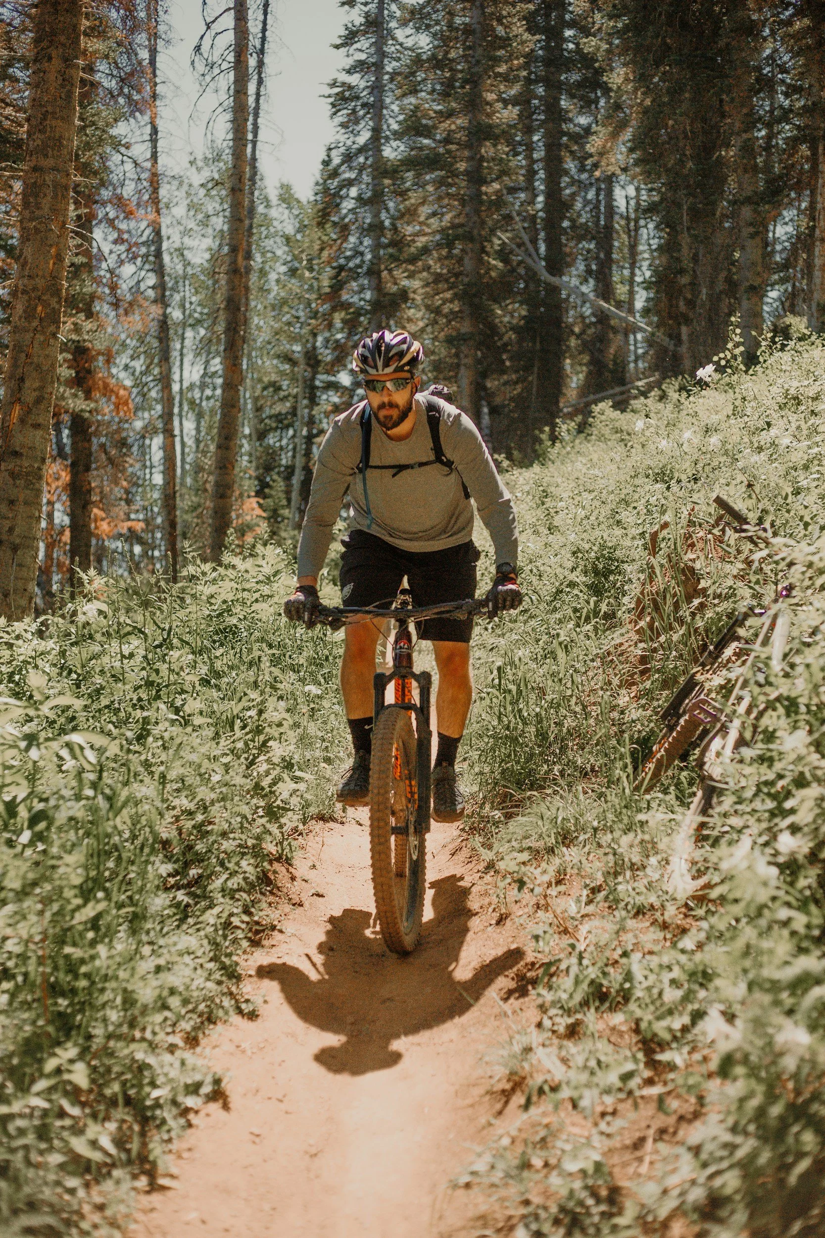 A man riding a mountain bike on a dirt trail through a forest with tall trees and green foliage.