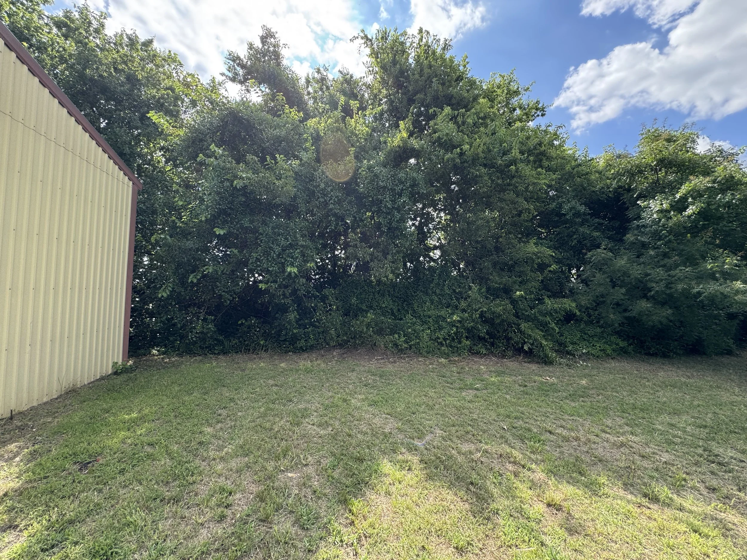 A backyard with a grassy lawn and a large green bush and trees in the background, under a partly cloudy sky.