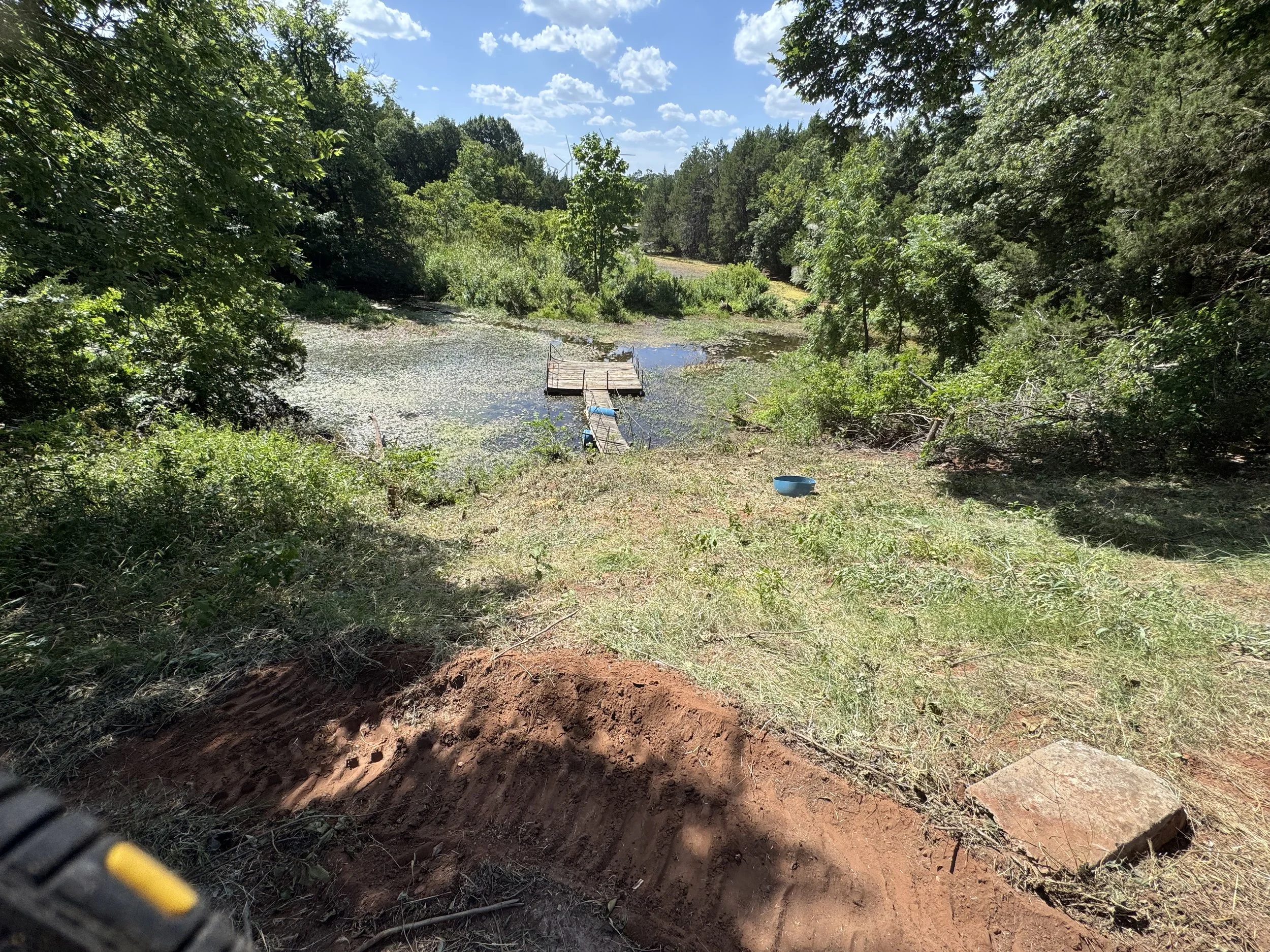 View of a small pond or lake surrounded by trees, with a wooden dock extending into the water. The sky is blue with scattered clouds, and the shoreline has grass and some dirt, with a blue bowl and a large flat stone visible.