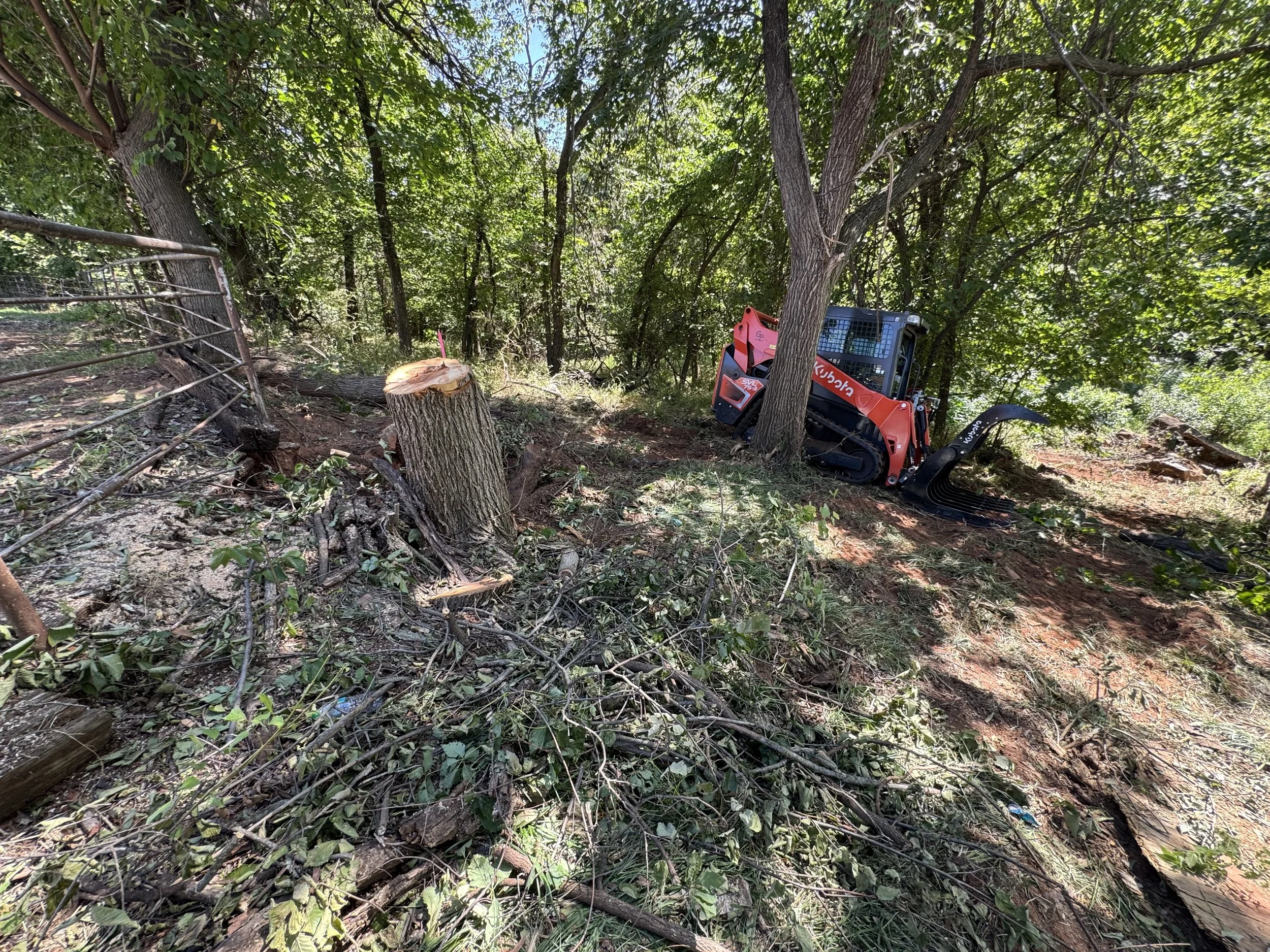 A wooded area where a tree has been cut down with a stump and branches on the ground. A small orange and black Kubota skid-steer loader is positioned among the trees, with some trees and fencing nearby.