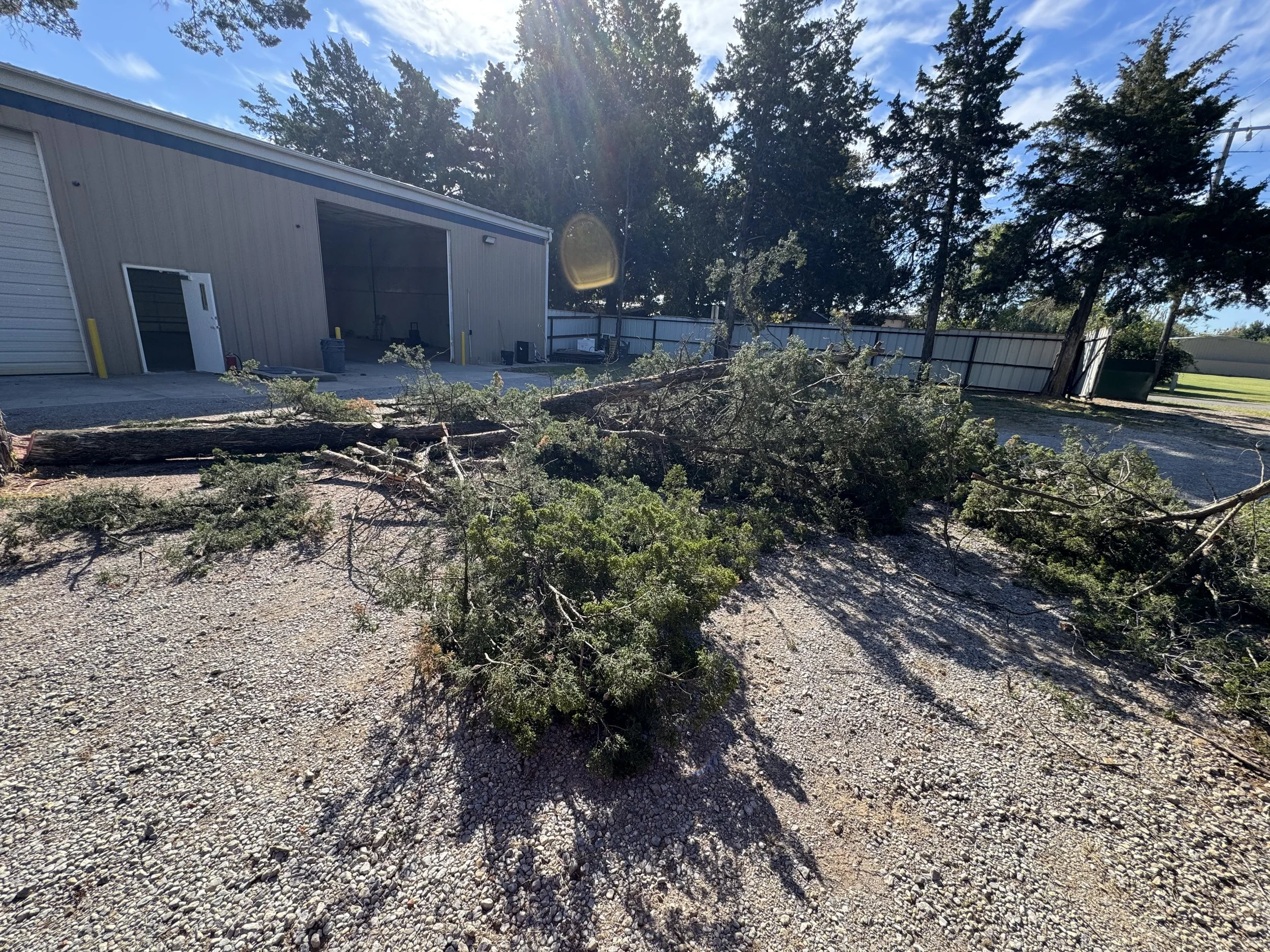 A fallen tree branch lies across a gravel driveway outside a metal building, with sunlight shining through the trees.