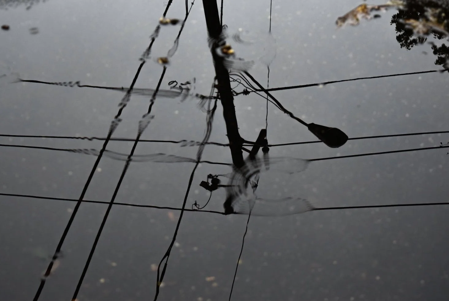 Screen Shot 2020-05-18 at 2.06.21 PM.jpeg