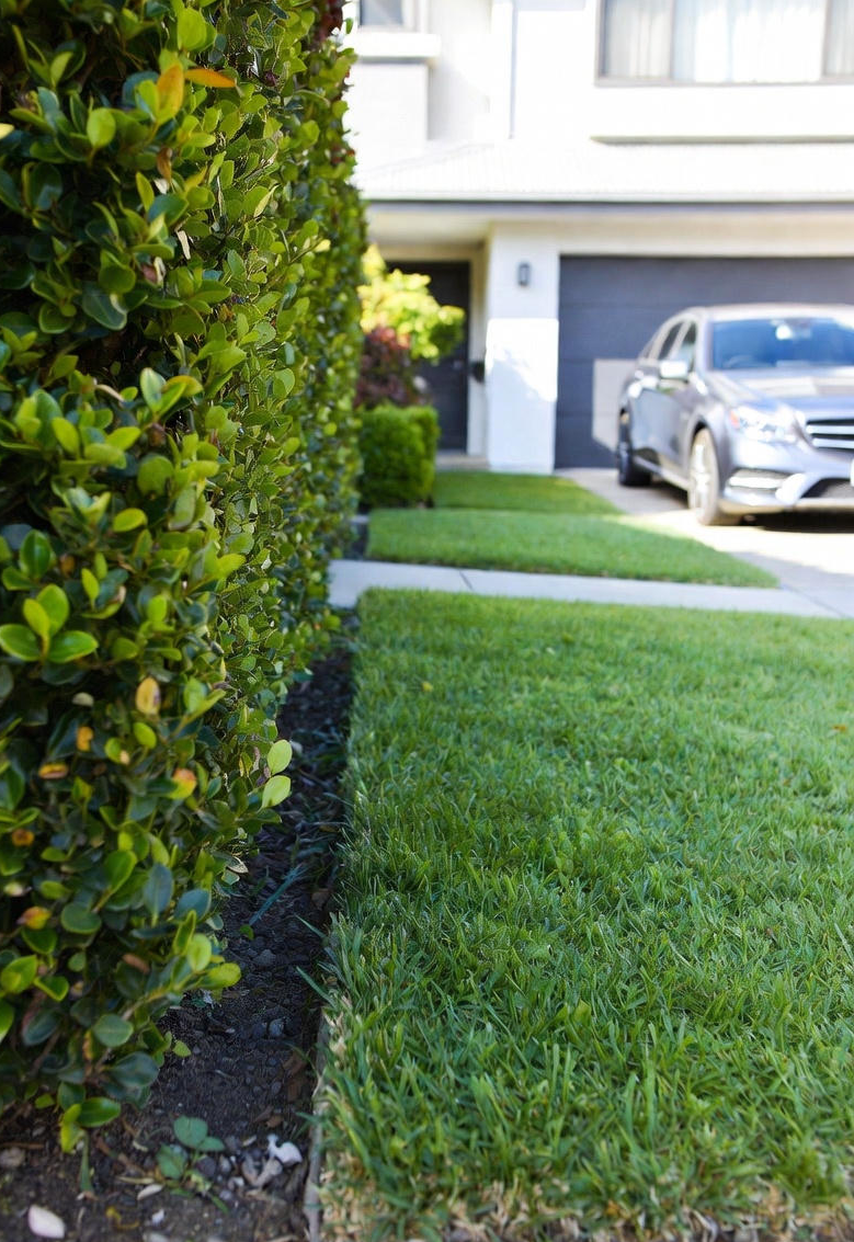 Eden Grounds and Gardens Central Coast Commercial and Strata mowing and hedging. A neatly maintained front yard with a row of green grass, a trimmed hedge on the left, and a driveway with a silver car parked in front of a modern house with a garage.