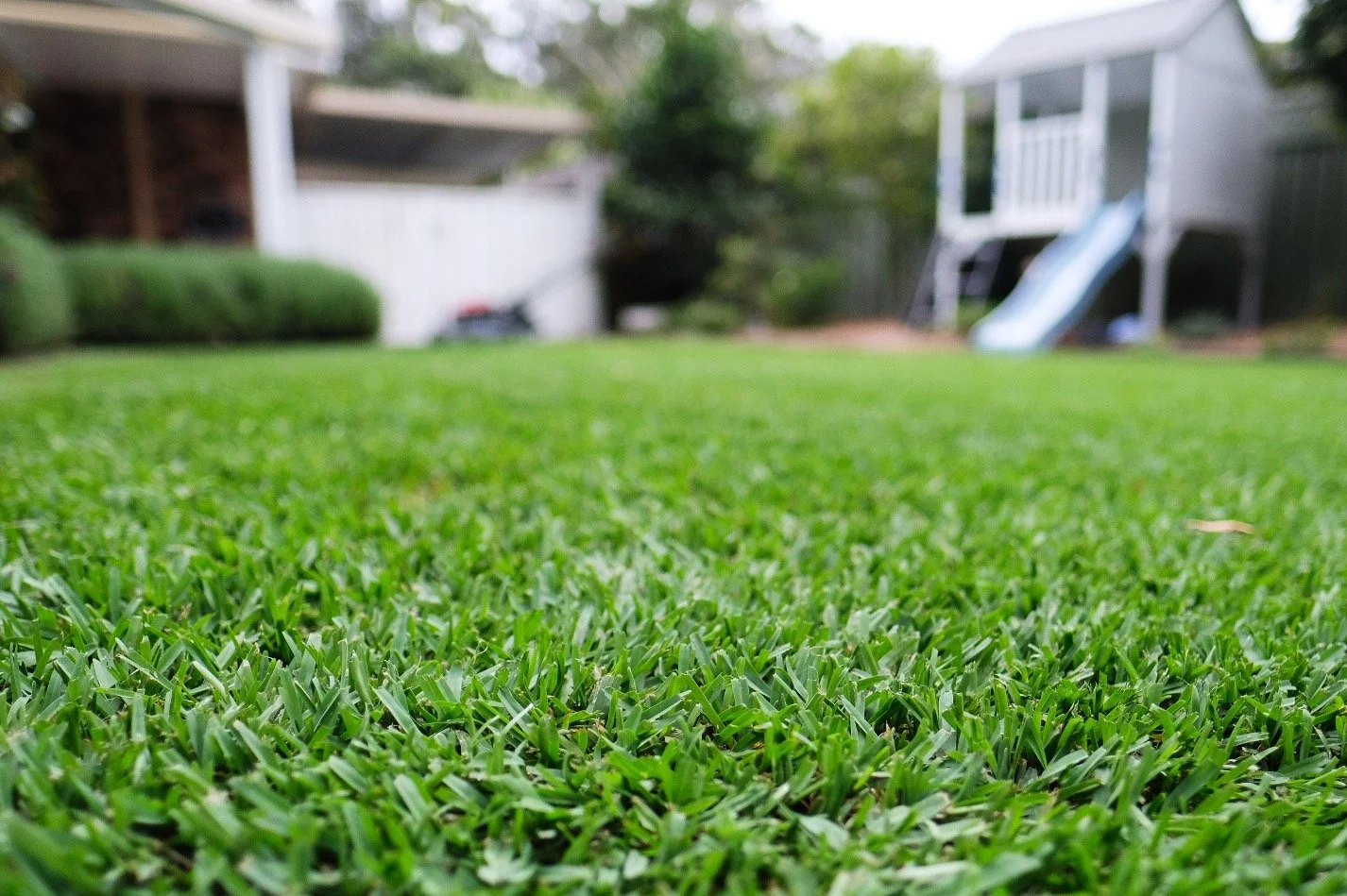 Family owned and operated. Pet and children safe products. Close-up of a well-maintained green lawn in a backyard with blurred background of a playhouse and trees. Eden Grounds and Gardens customer review.