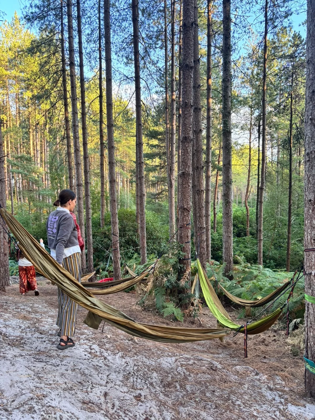 A woman and a child standing in a forest next to hammocks tied between trees, with tall pine trees and green foliage in the background.